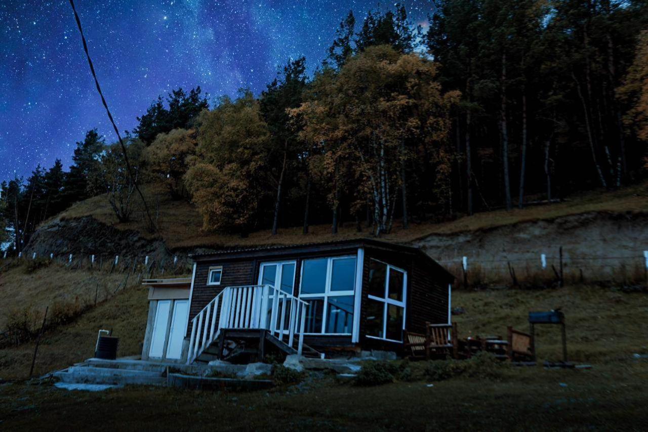 Forest Cabins