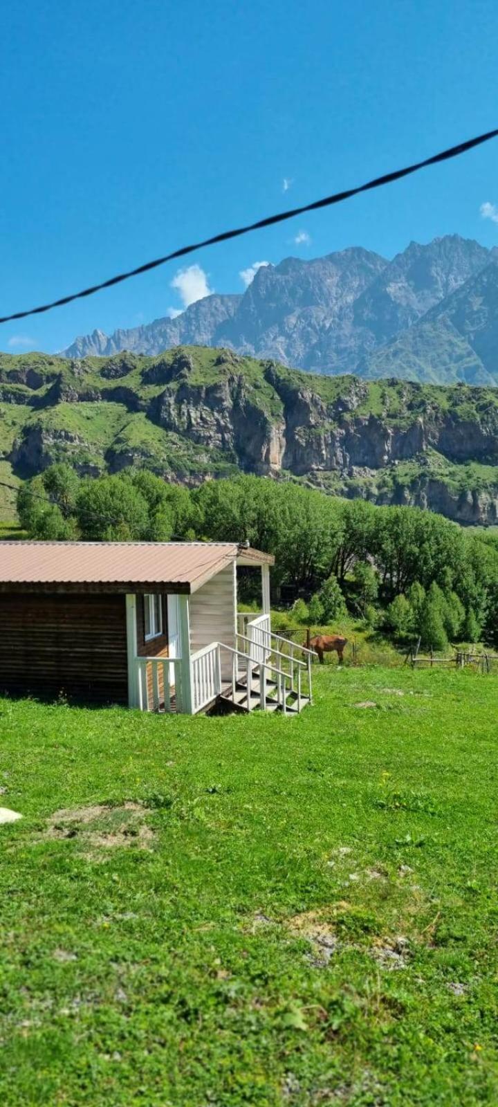 Forest Cabins