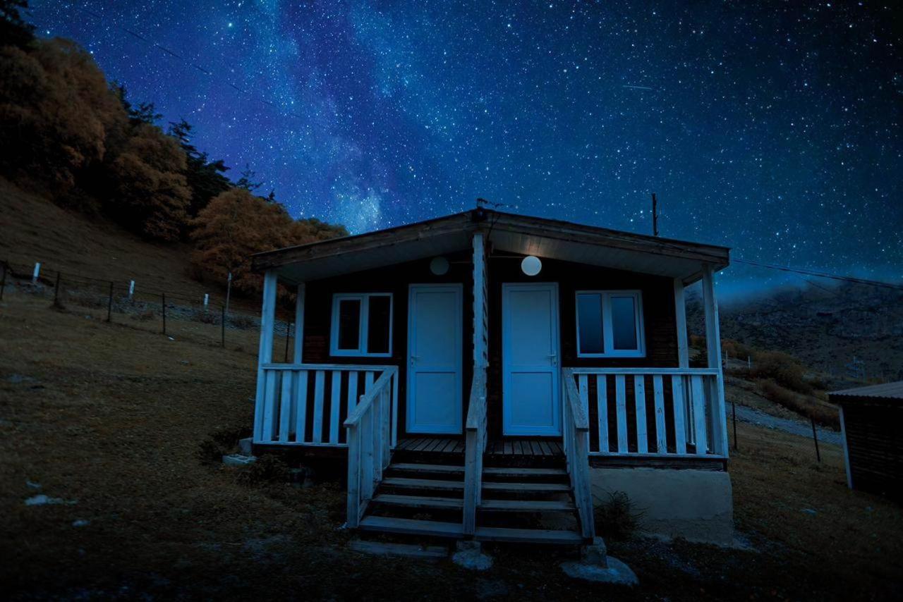 Forest Cabins