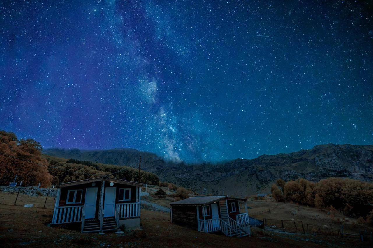 Forest Cabins