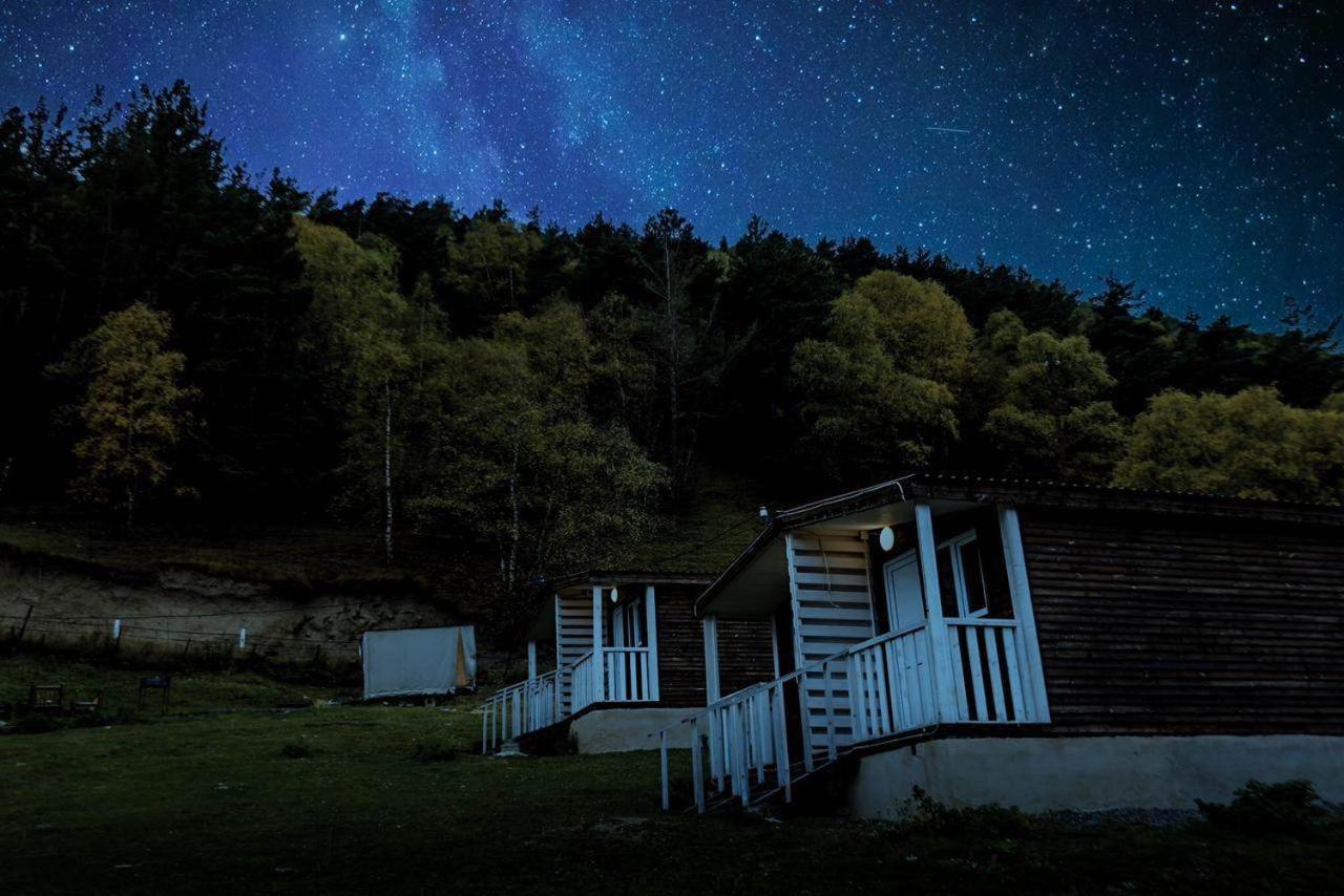 Forest Cabins