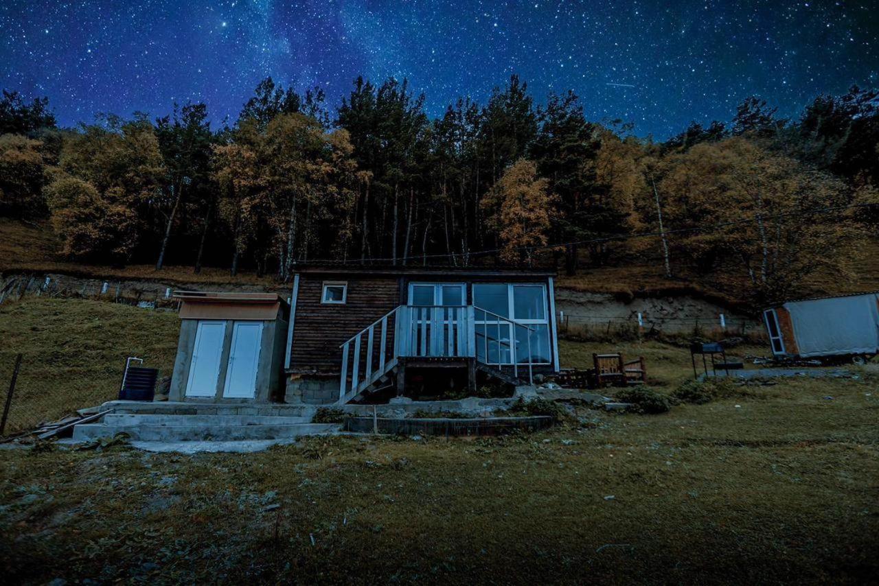 Forest Cabins