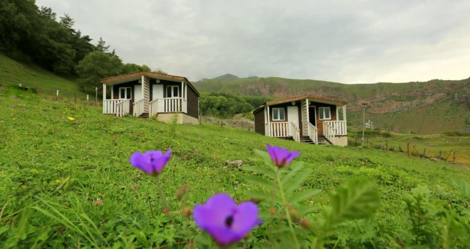 Forest Cabins