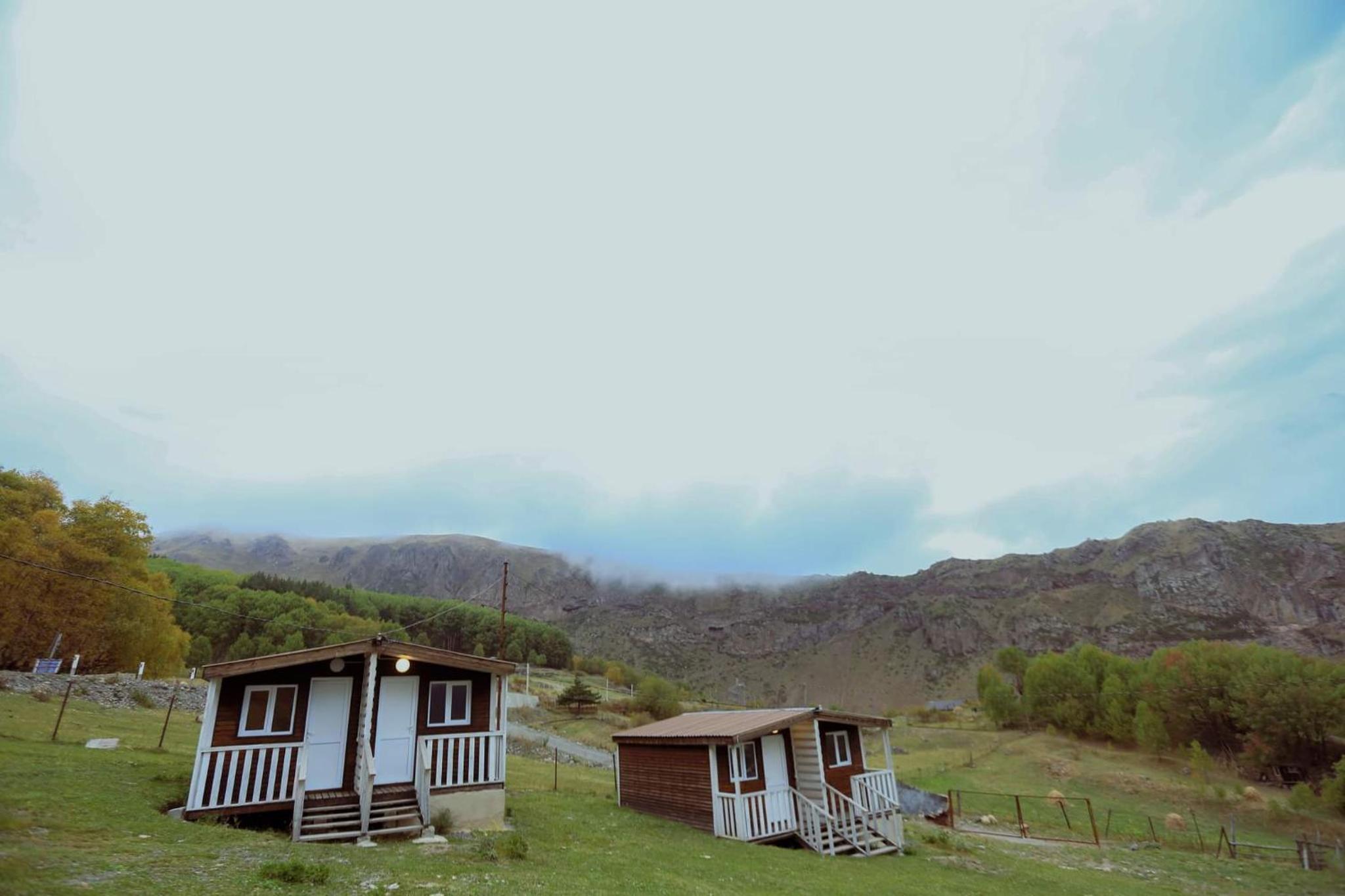 Forest Cabins