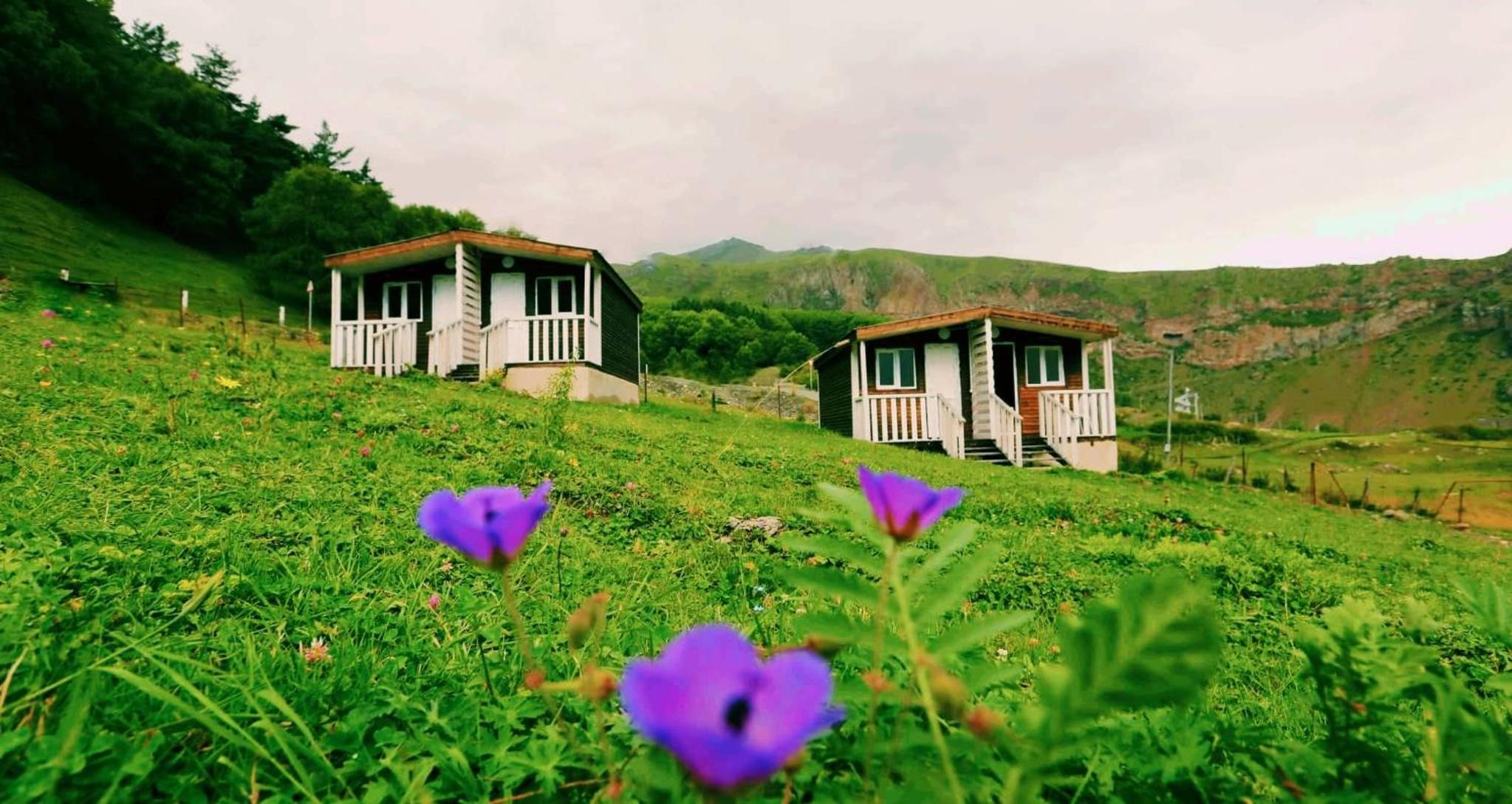 Forest Cabins