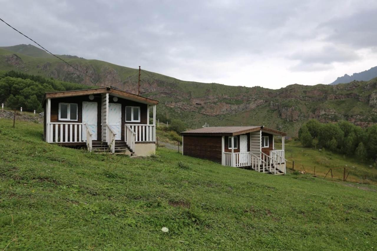 Forest Cabins