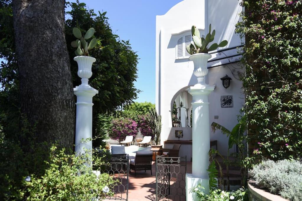 Villa in Caprile for6 people by Capri-Property view 4