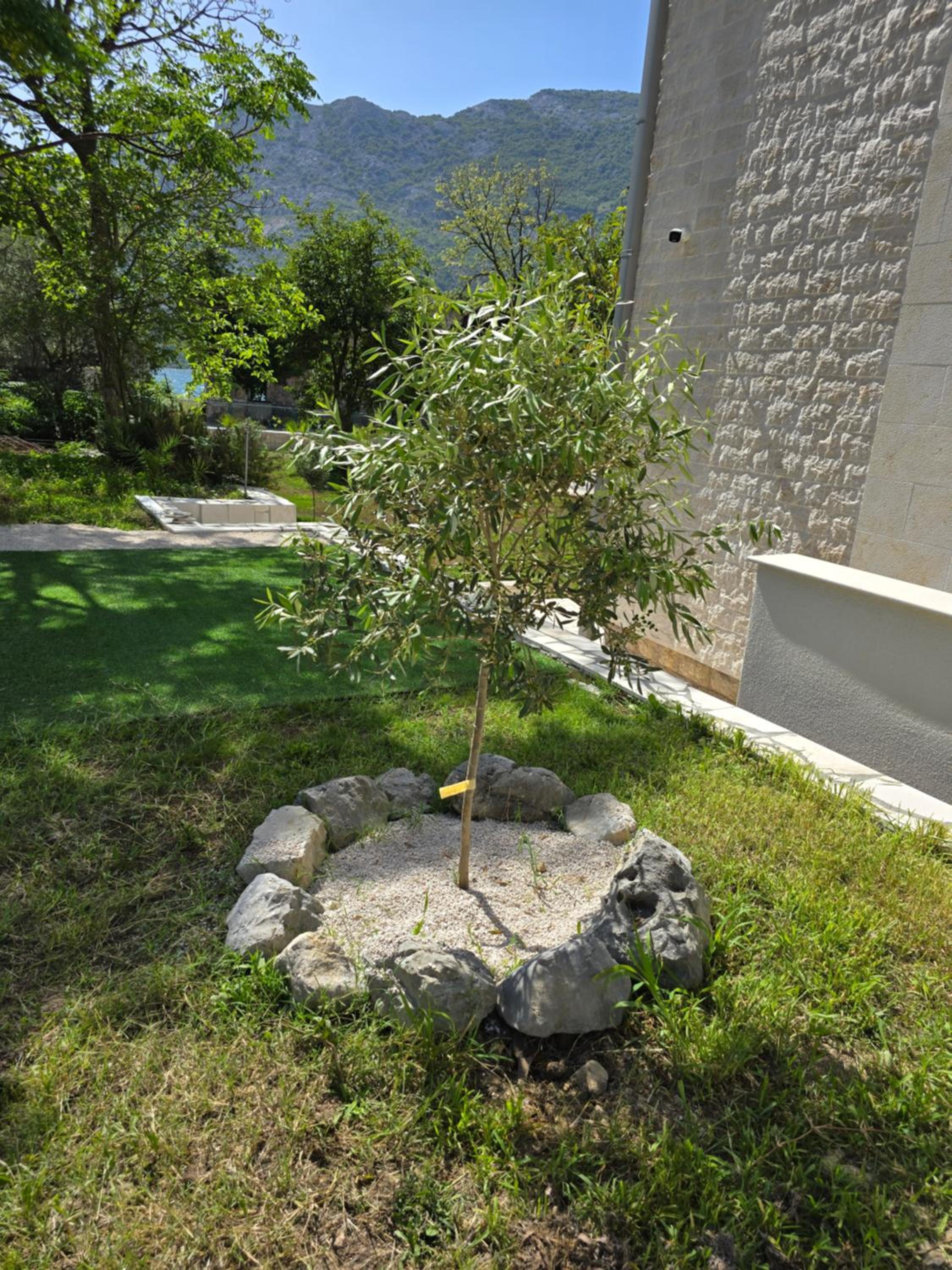 Photo 49