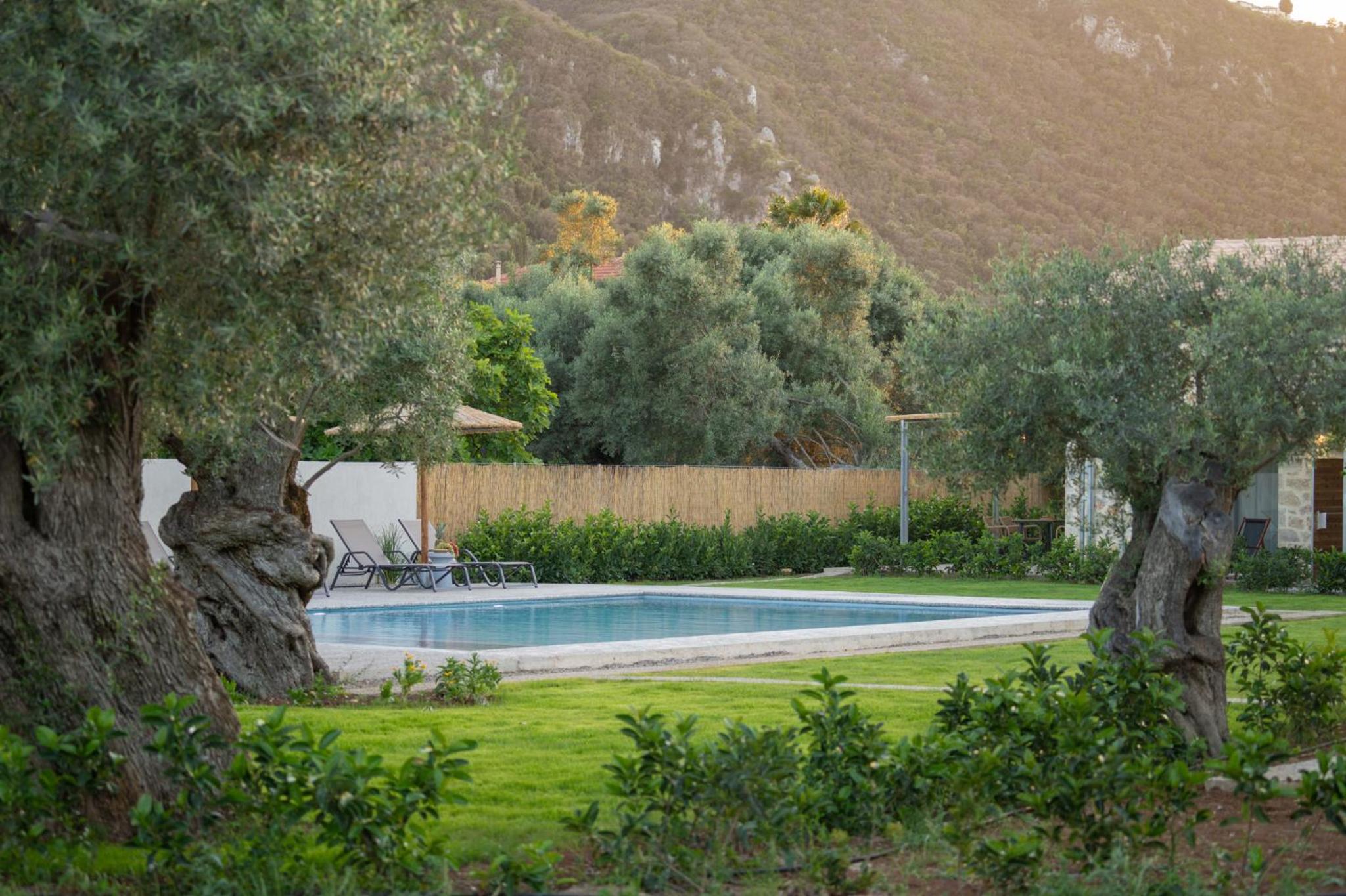 YANNIS RETREAT