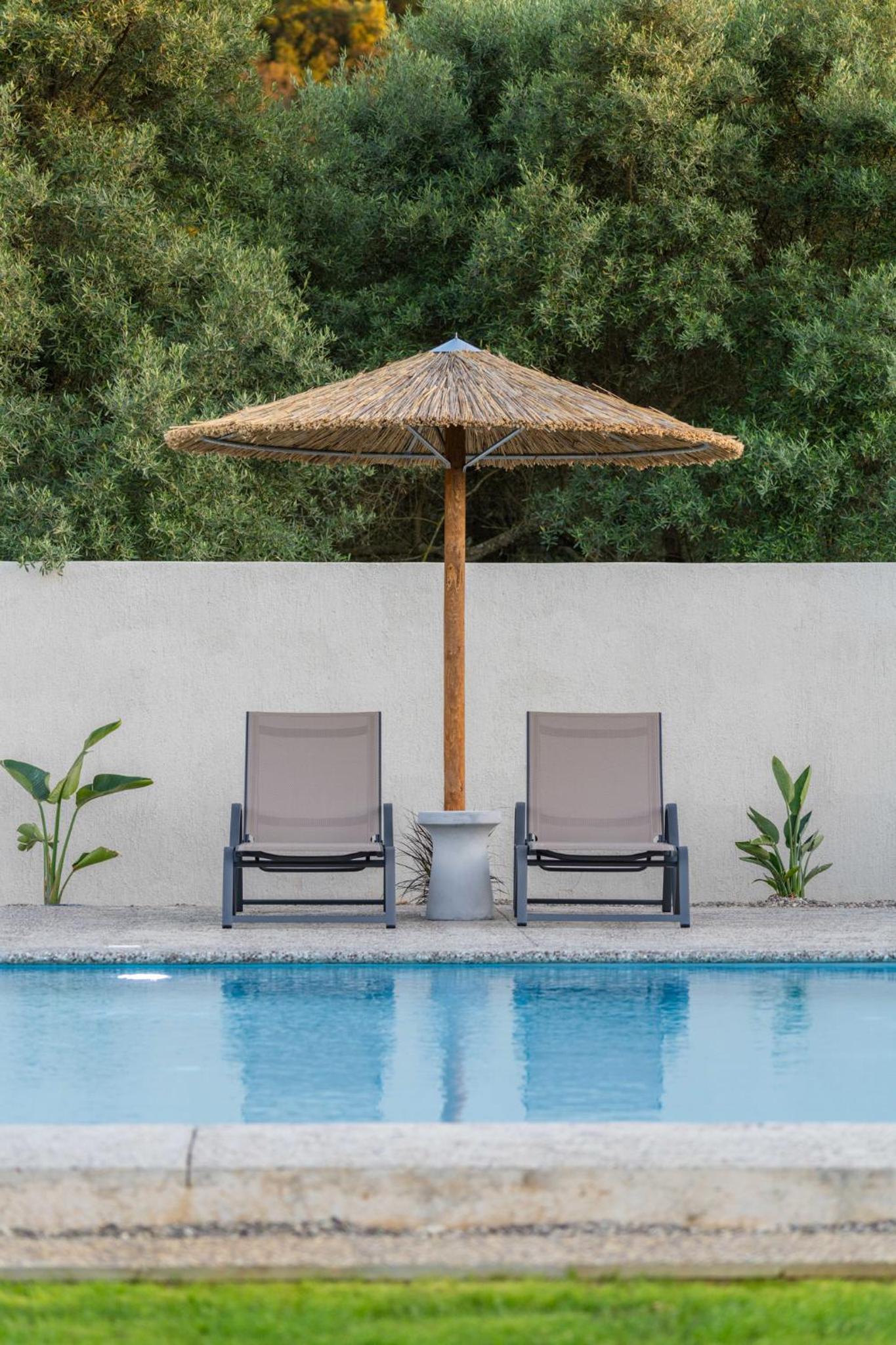 YANNIS RETREAT