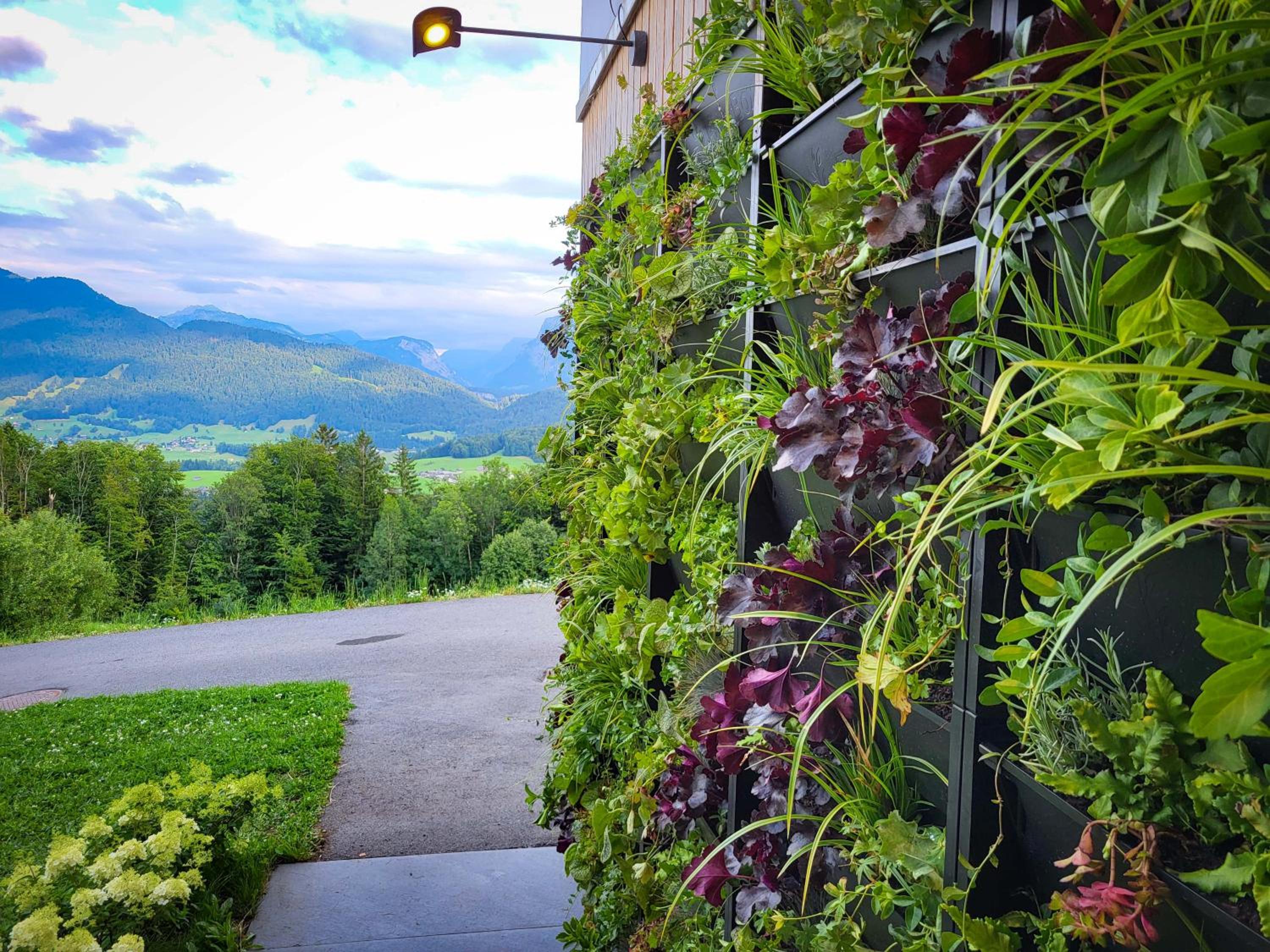 AlpenblickStudio-at Views of the Alps, Gym and Sauna
