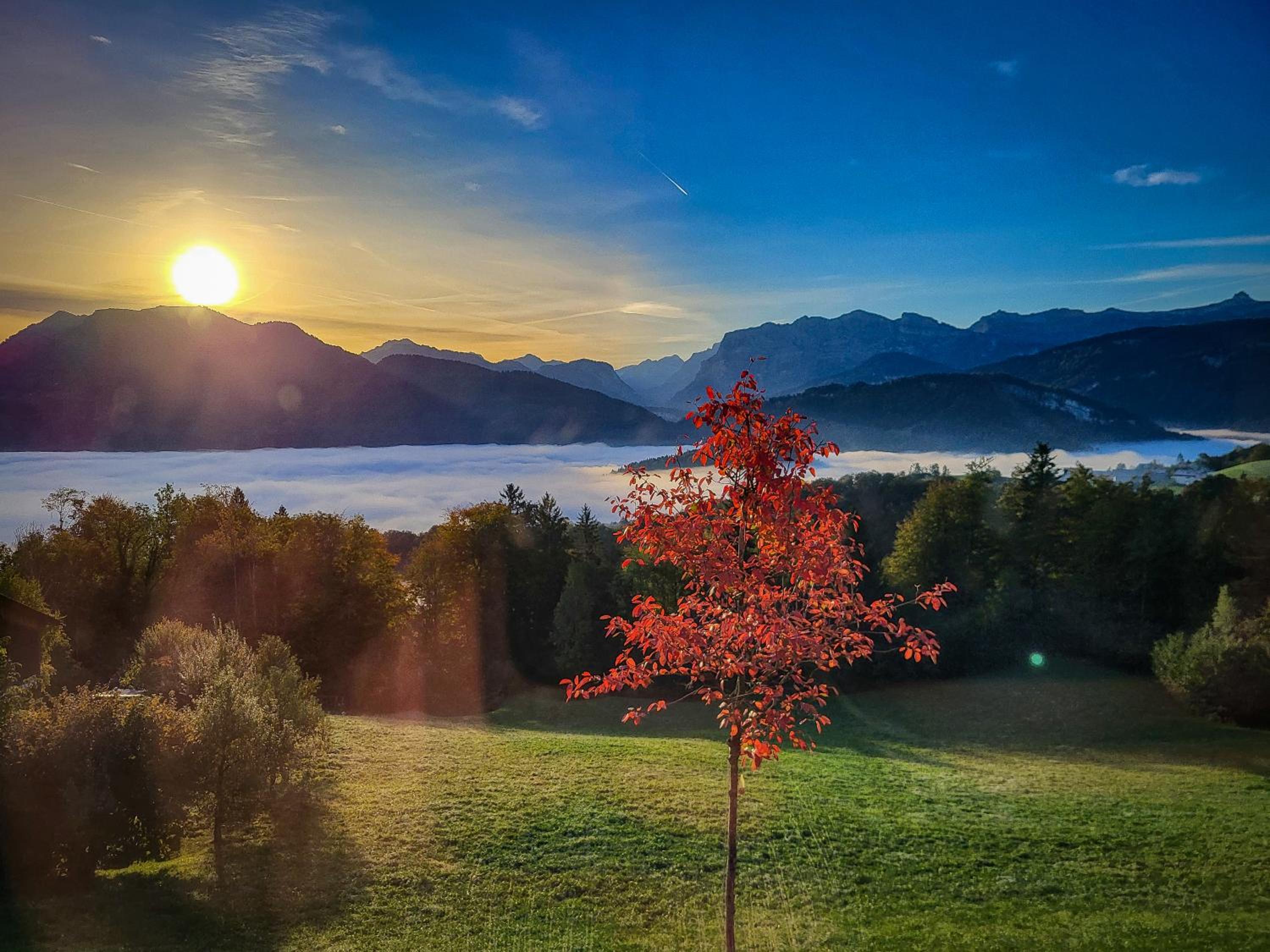 AlpenblickStudio-at Views of the Alps, Gym and Sauna