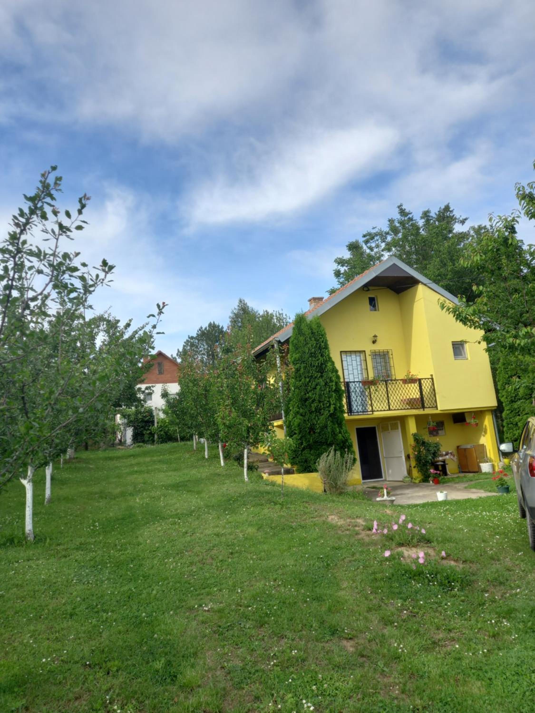 Photo 11