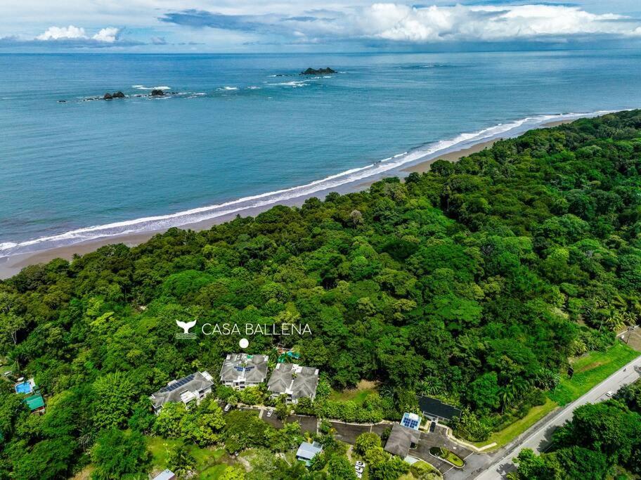 Beachfront Jungle Luxury! 3BD Penthouse Uvita