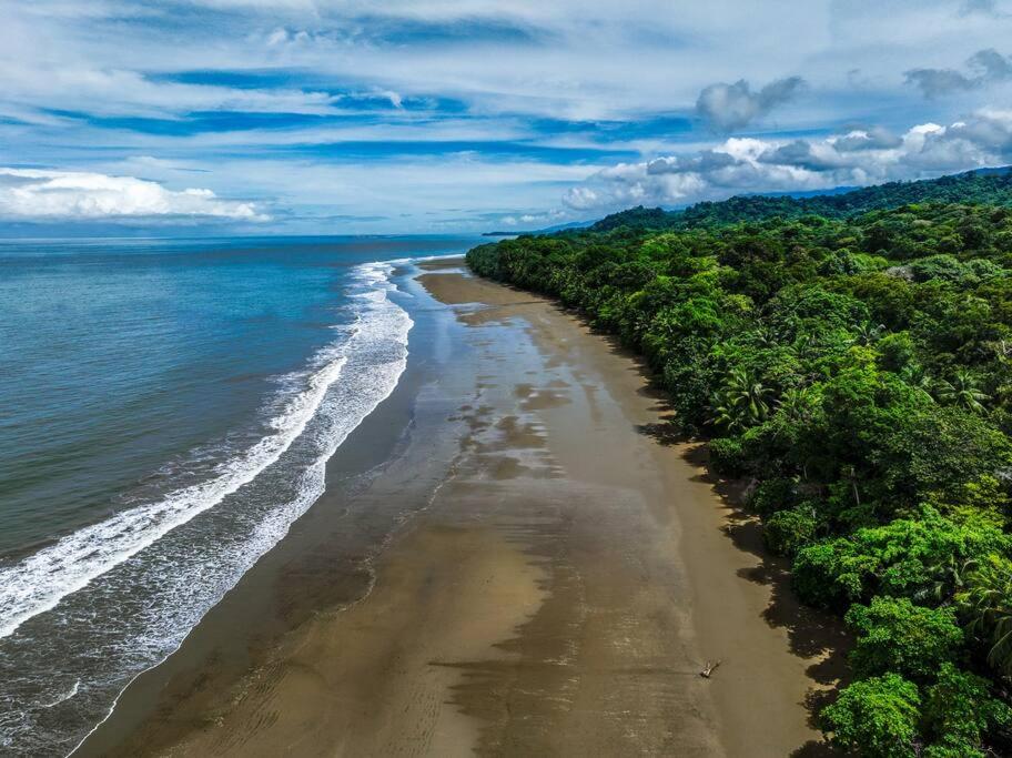Beachfront Jungle Luxury! 3BD Penthouse Uvita