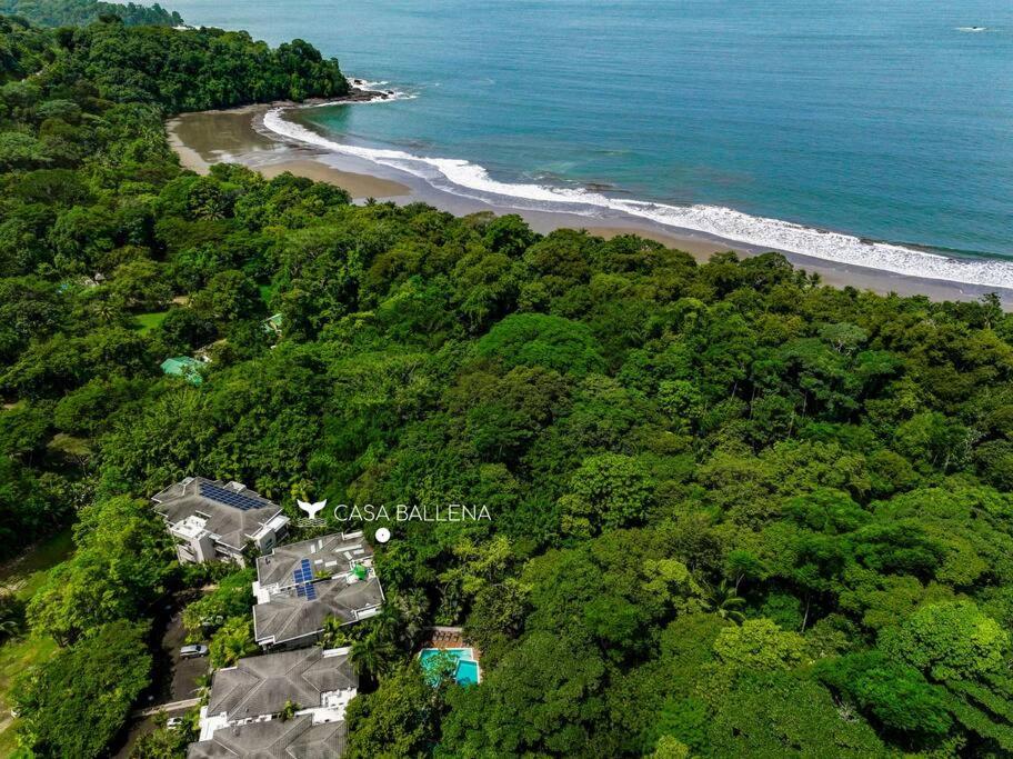 Beachfront Jungle Luxury! 3BD Penthouse Uvita