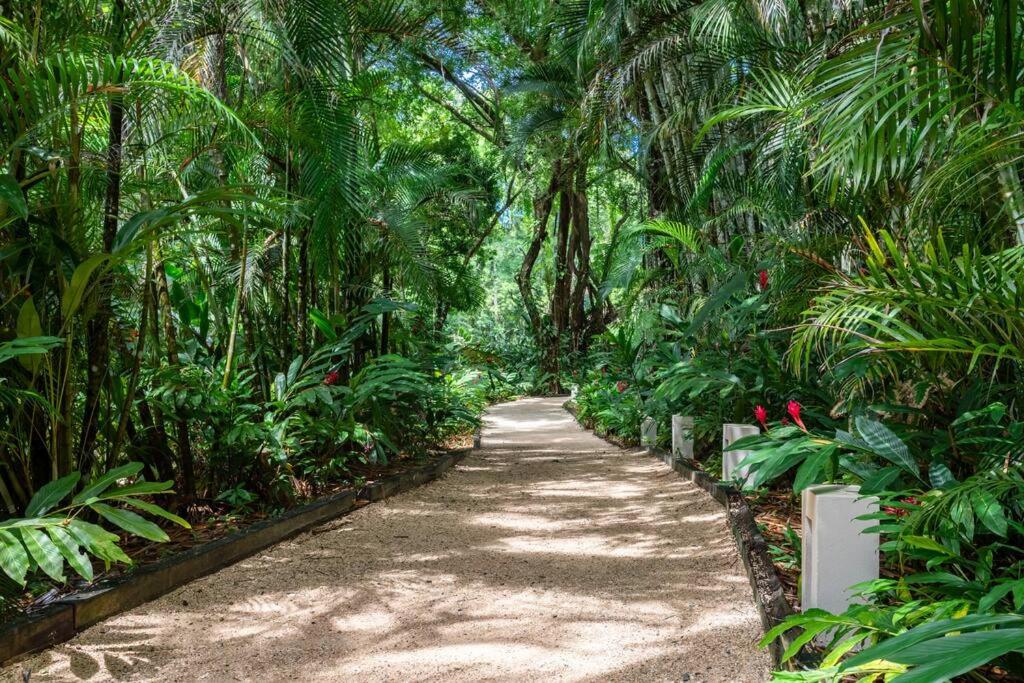 Beachfront Jungle Luxury! 3BD Penthouse Uvita