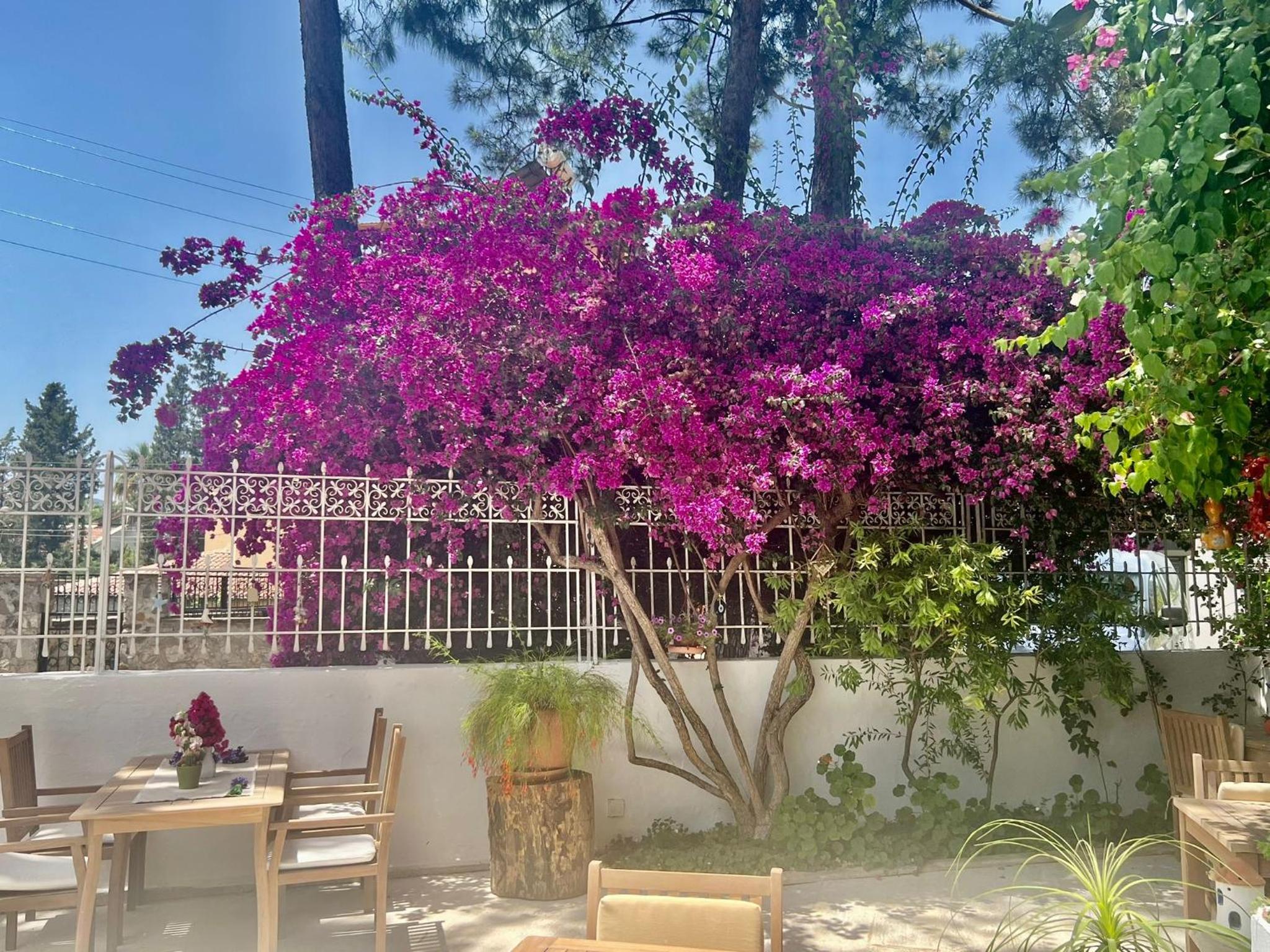 Carikci Hotel - Image 42