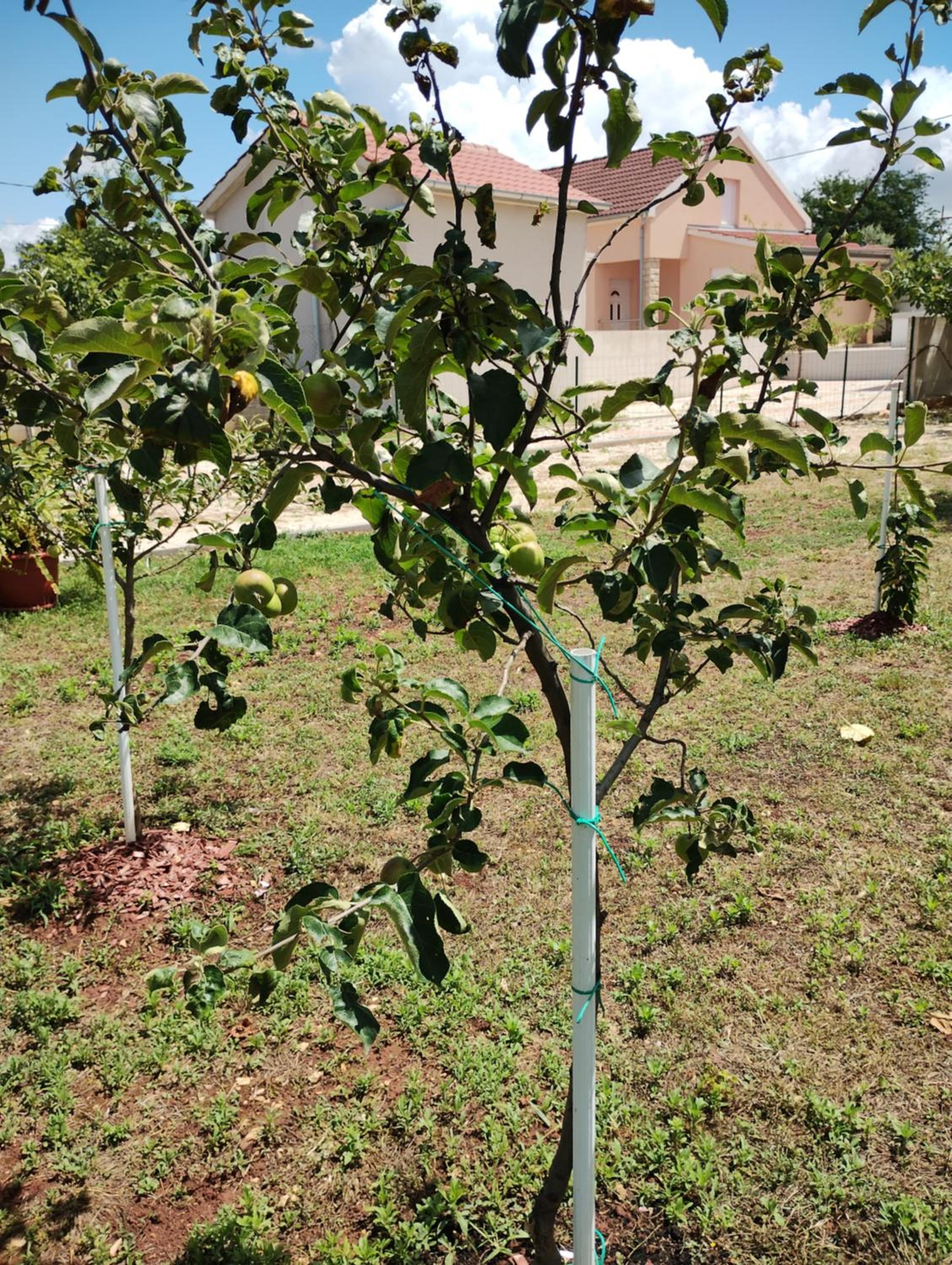 Apartman Enia photo 5