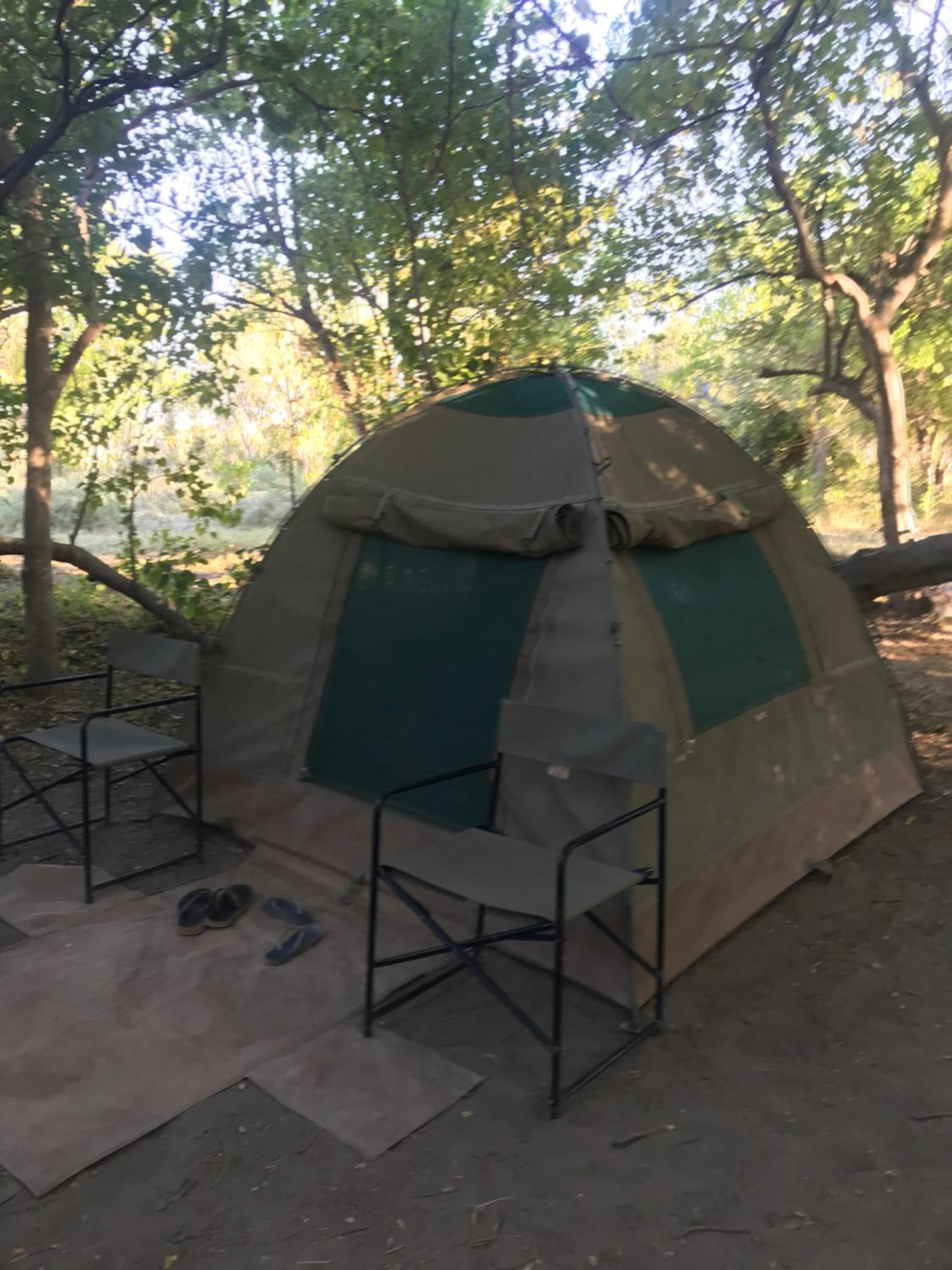Golentle Home Stay