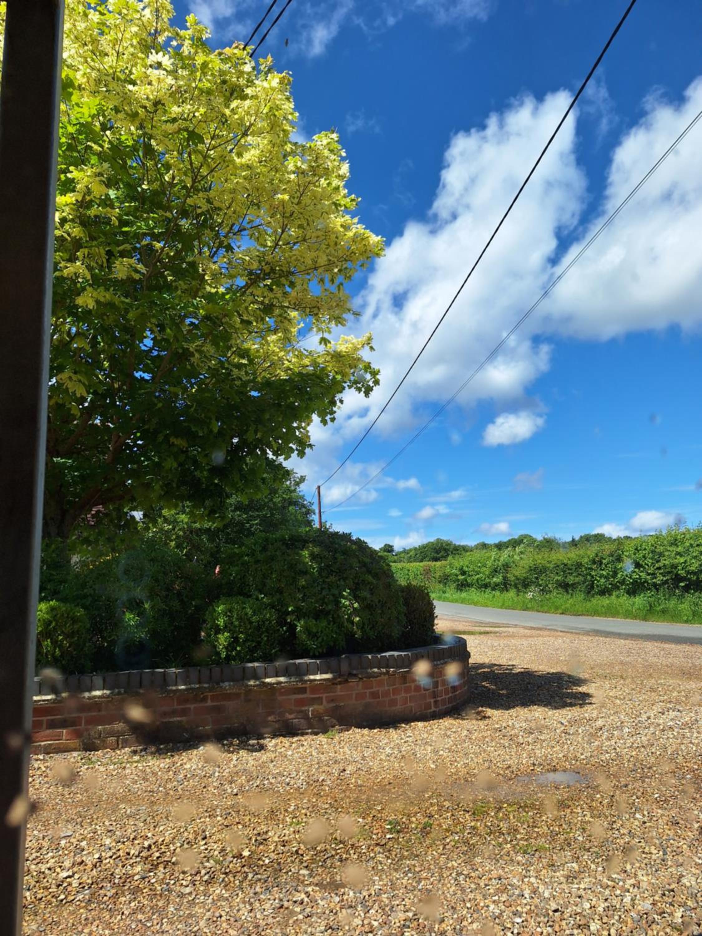 Photo 45