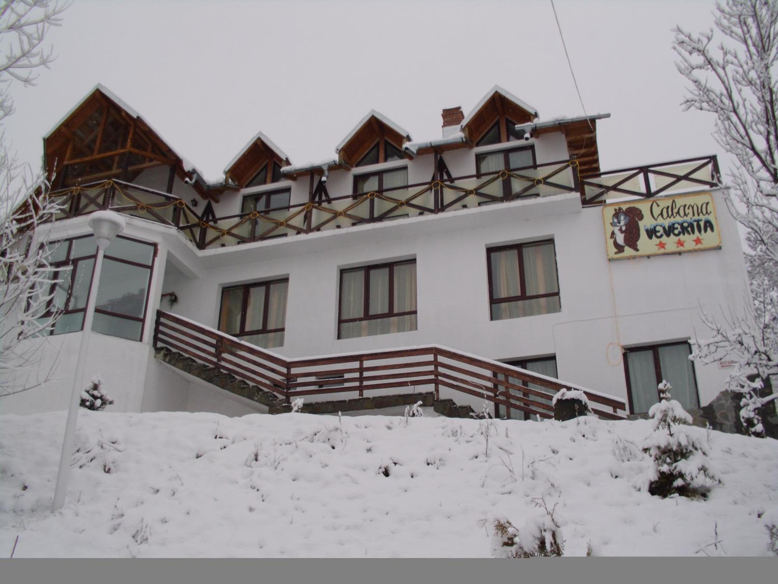 Pensiunea Cabana Veverita Valea Doftanei