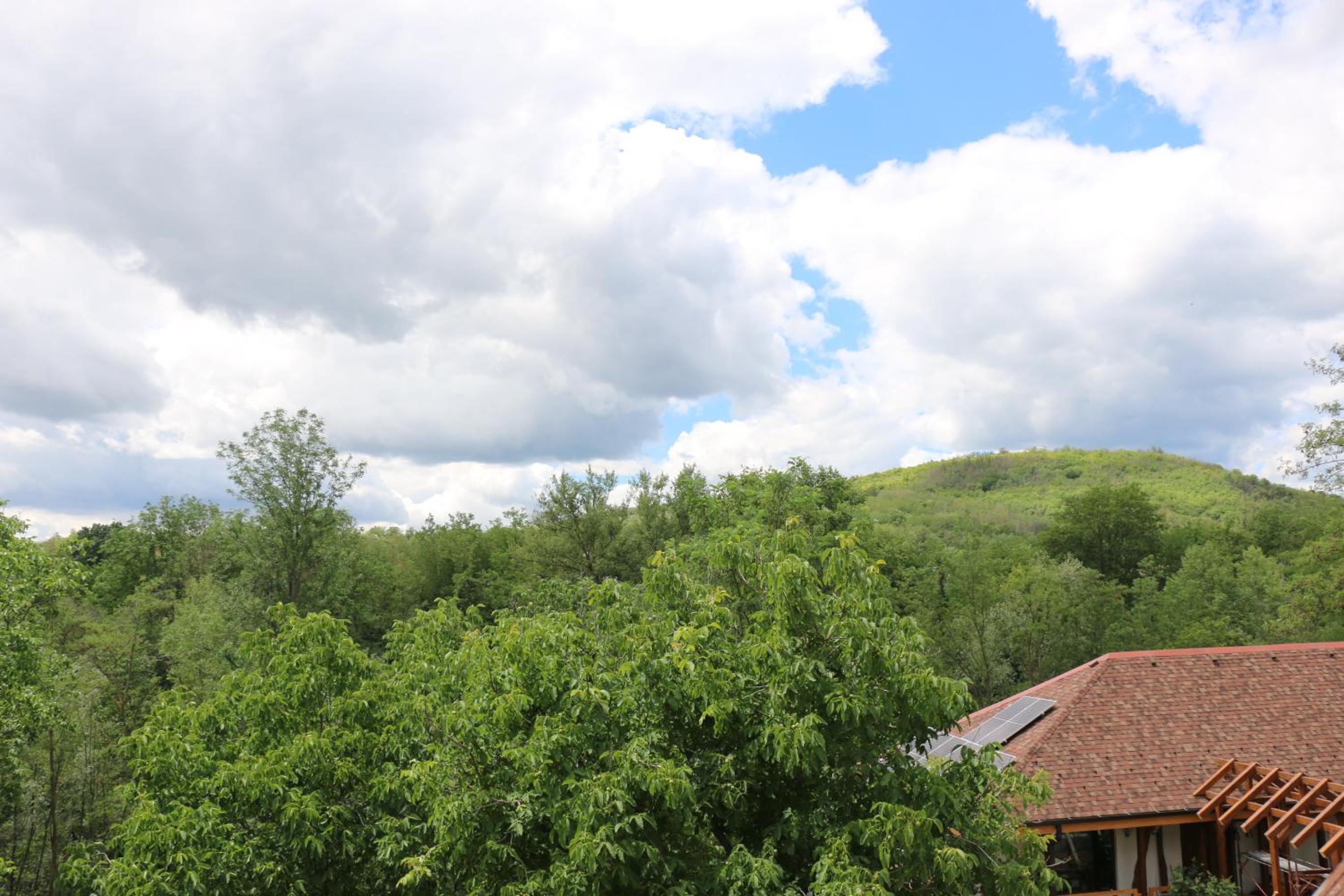 Photo 44