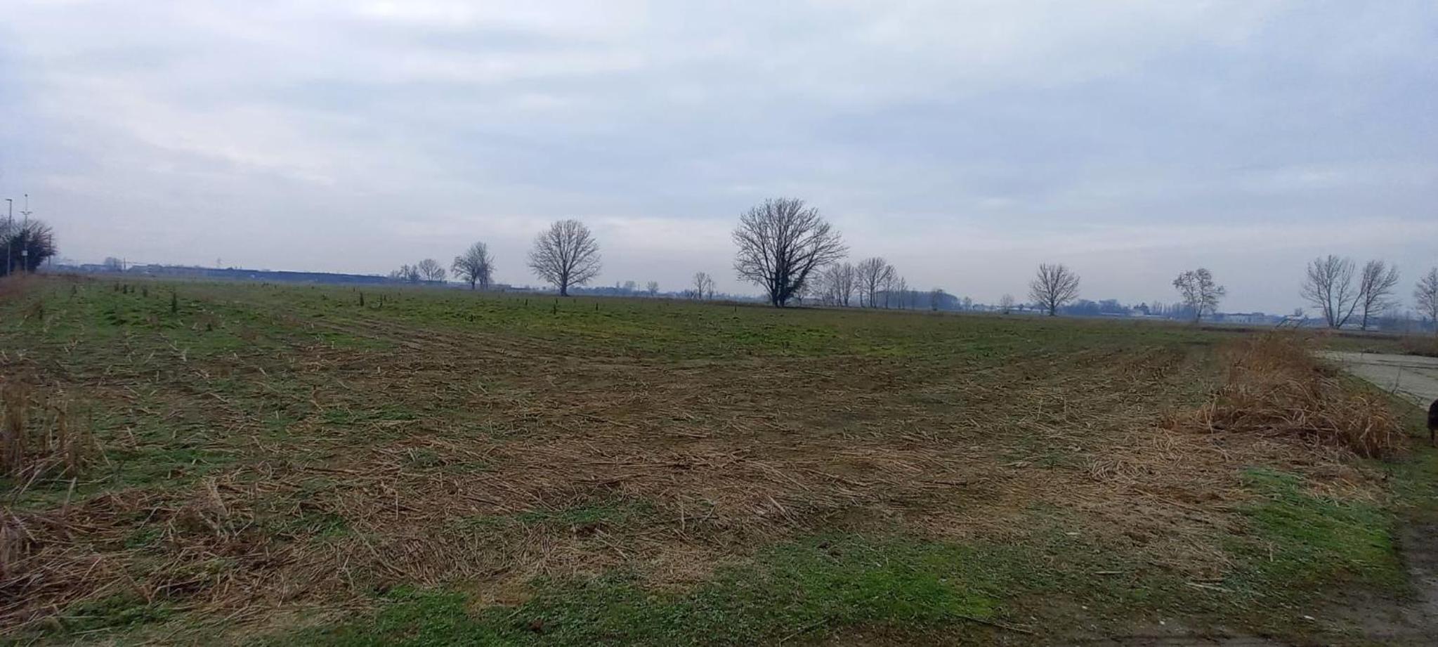 Silenzioso, posto auto, 2km da Lodi, 30 km da Milano view 2