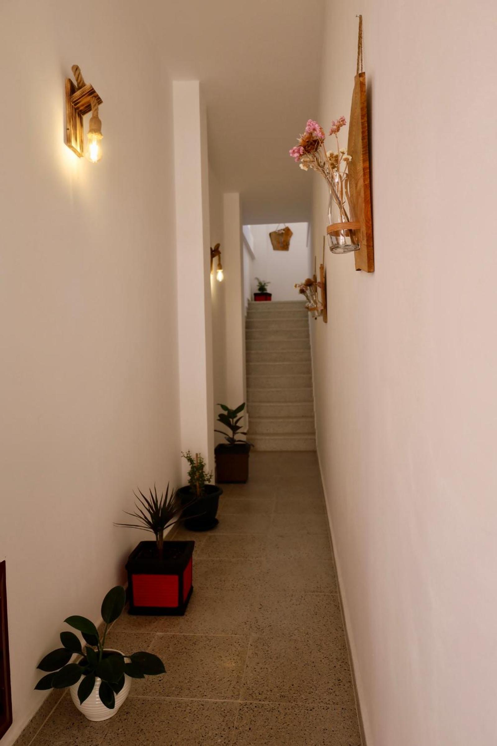 City Nest