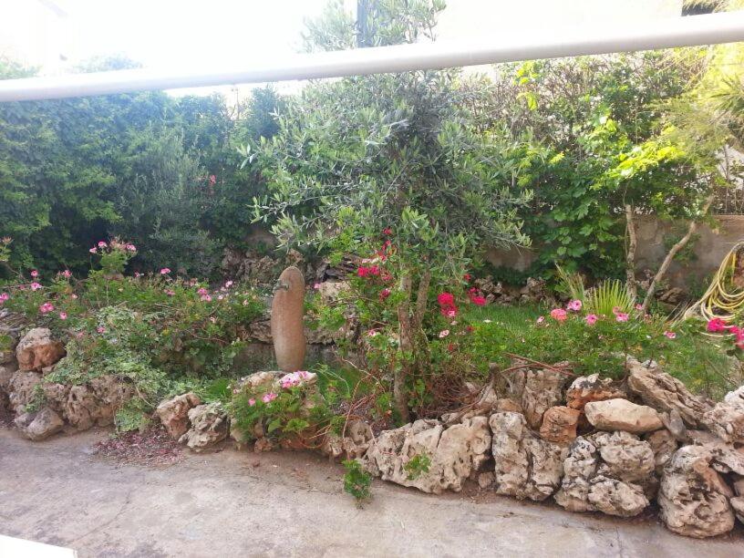 Photo 34