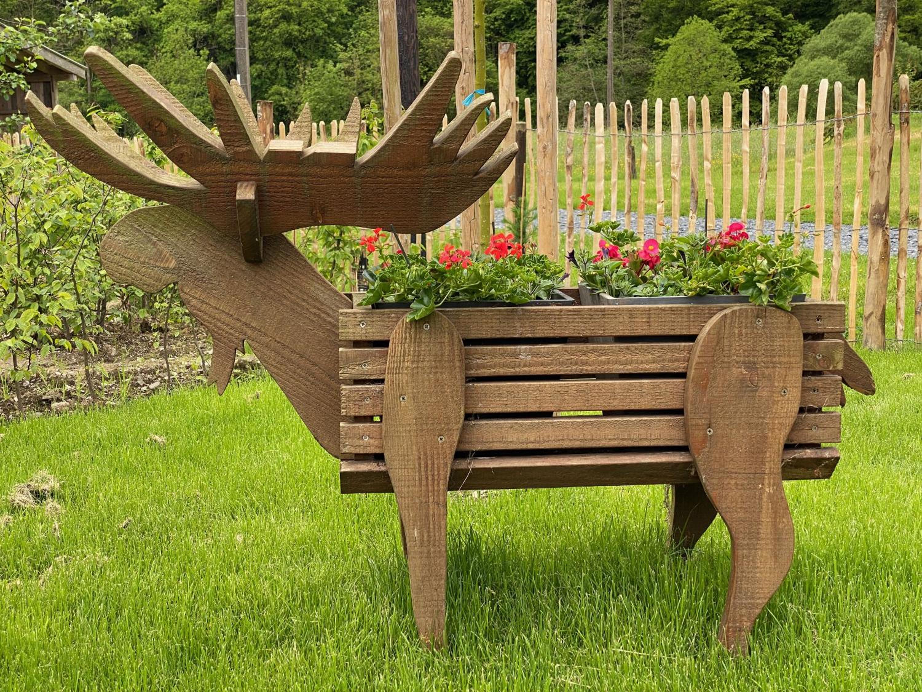 Waldblick - 4-star holiday home in Ouren