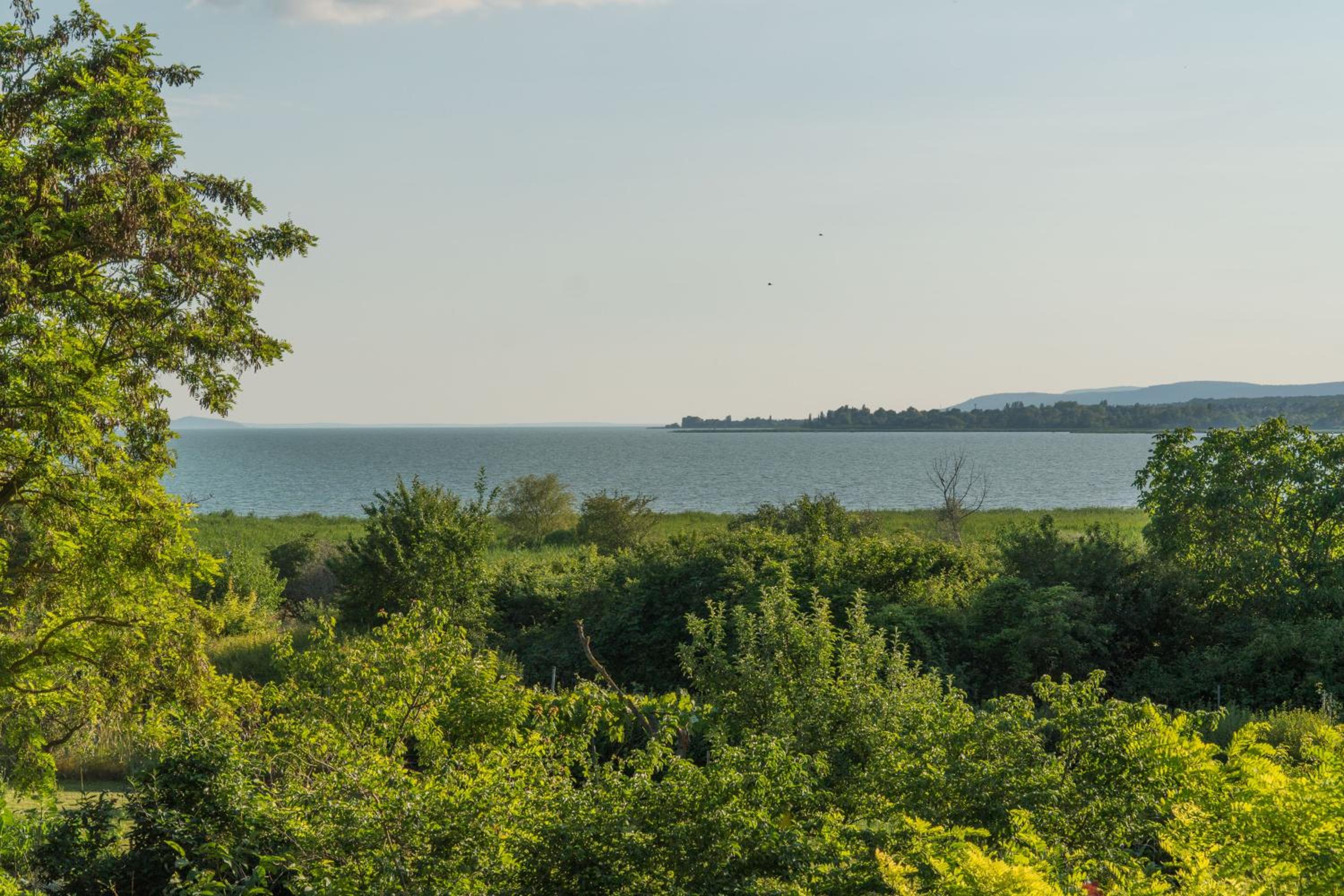Villa Sajkod view 3