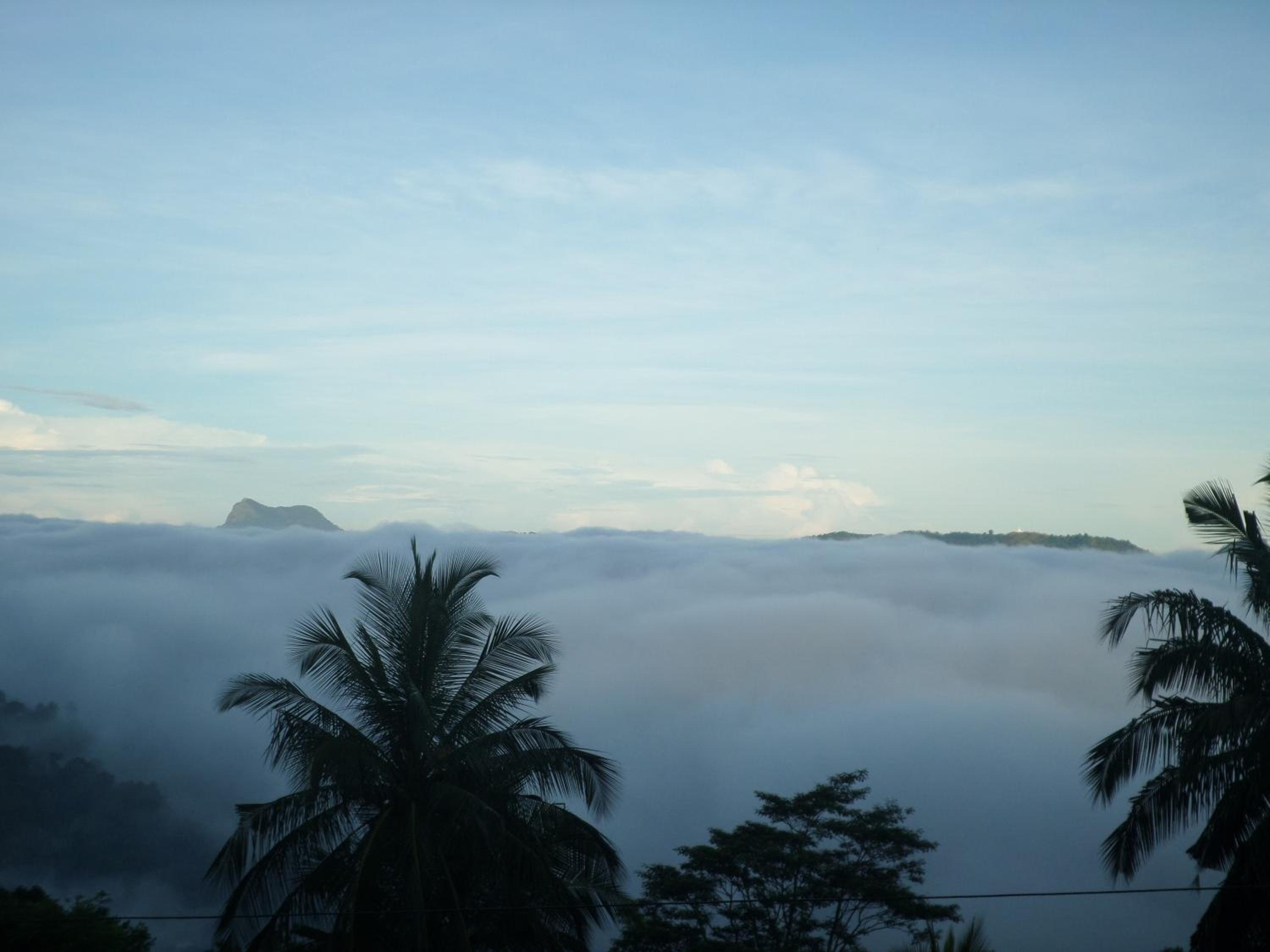 High View Homestay view 4