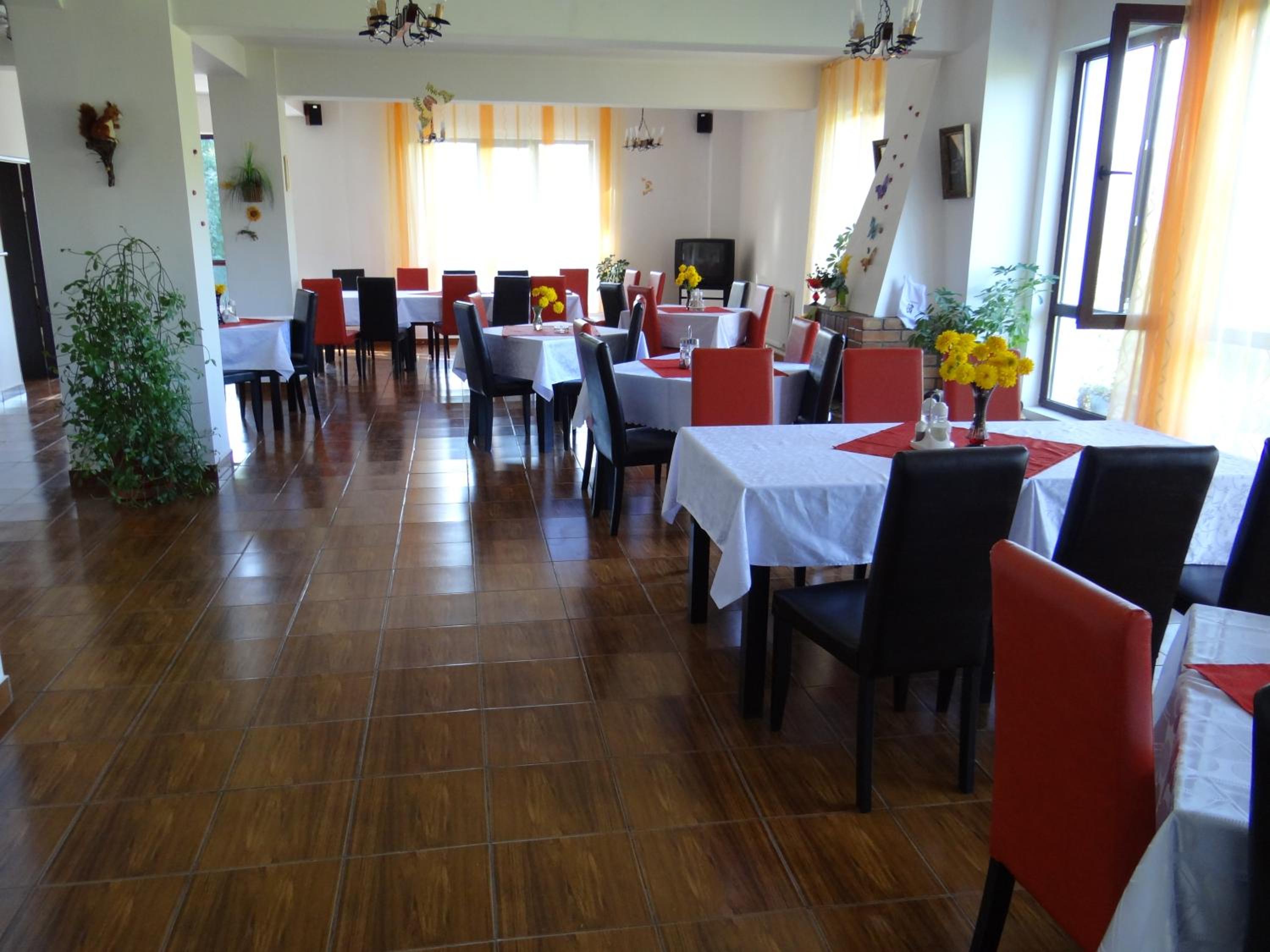 Pensiunea Cabana Veverita Valea Doftanei