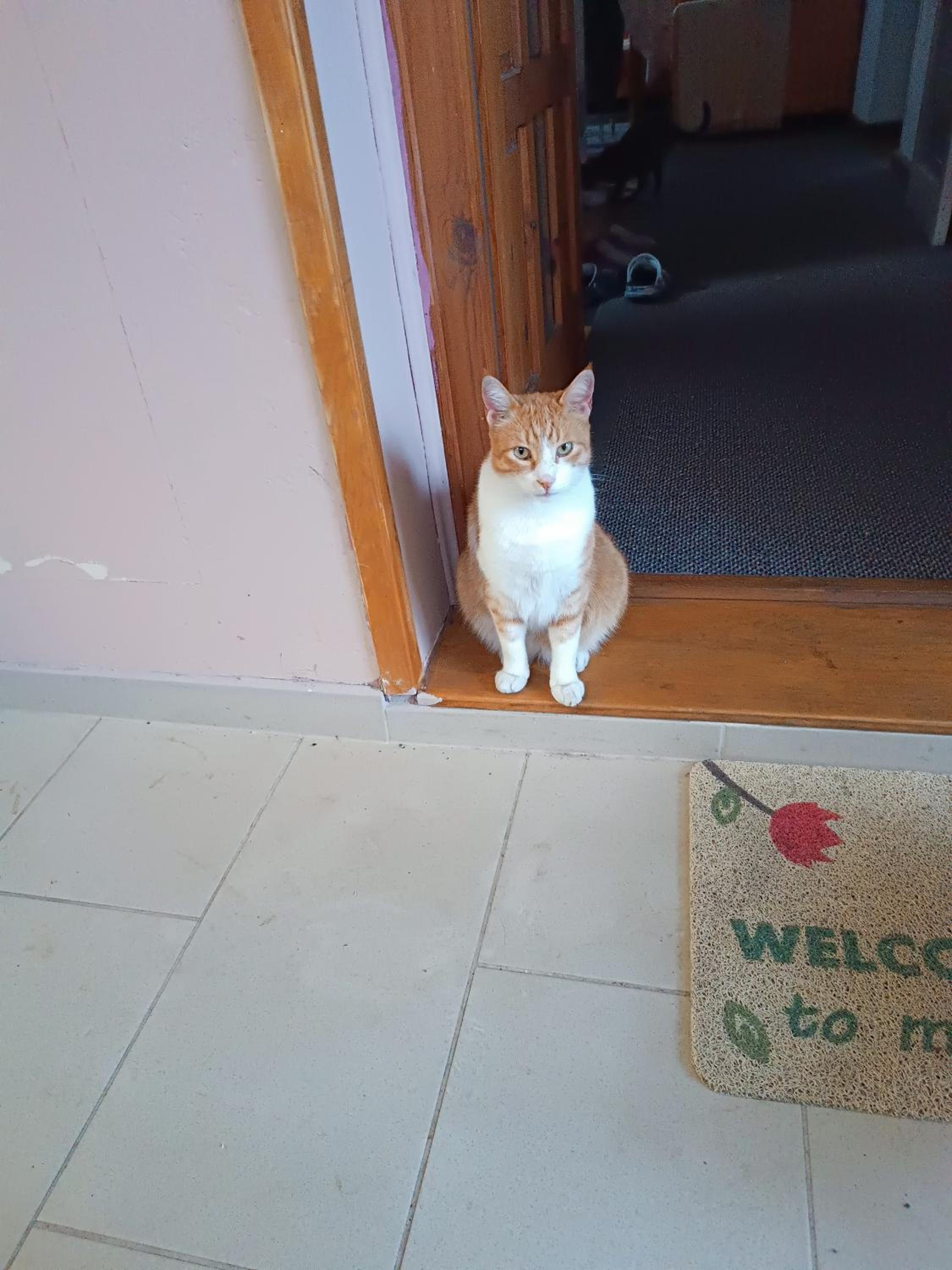 human