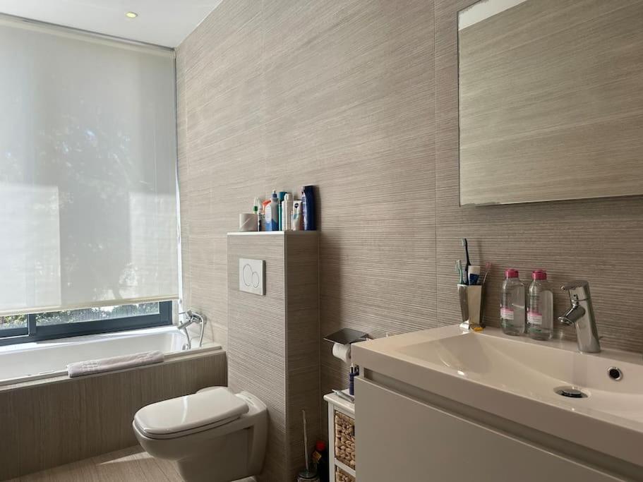 Luxury Villa TagMara Elviria