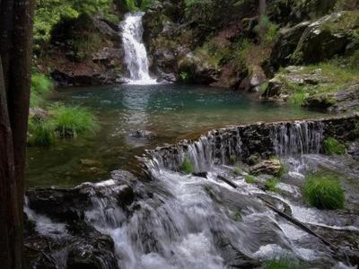 Photo 45