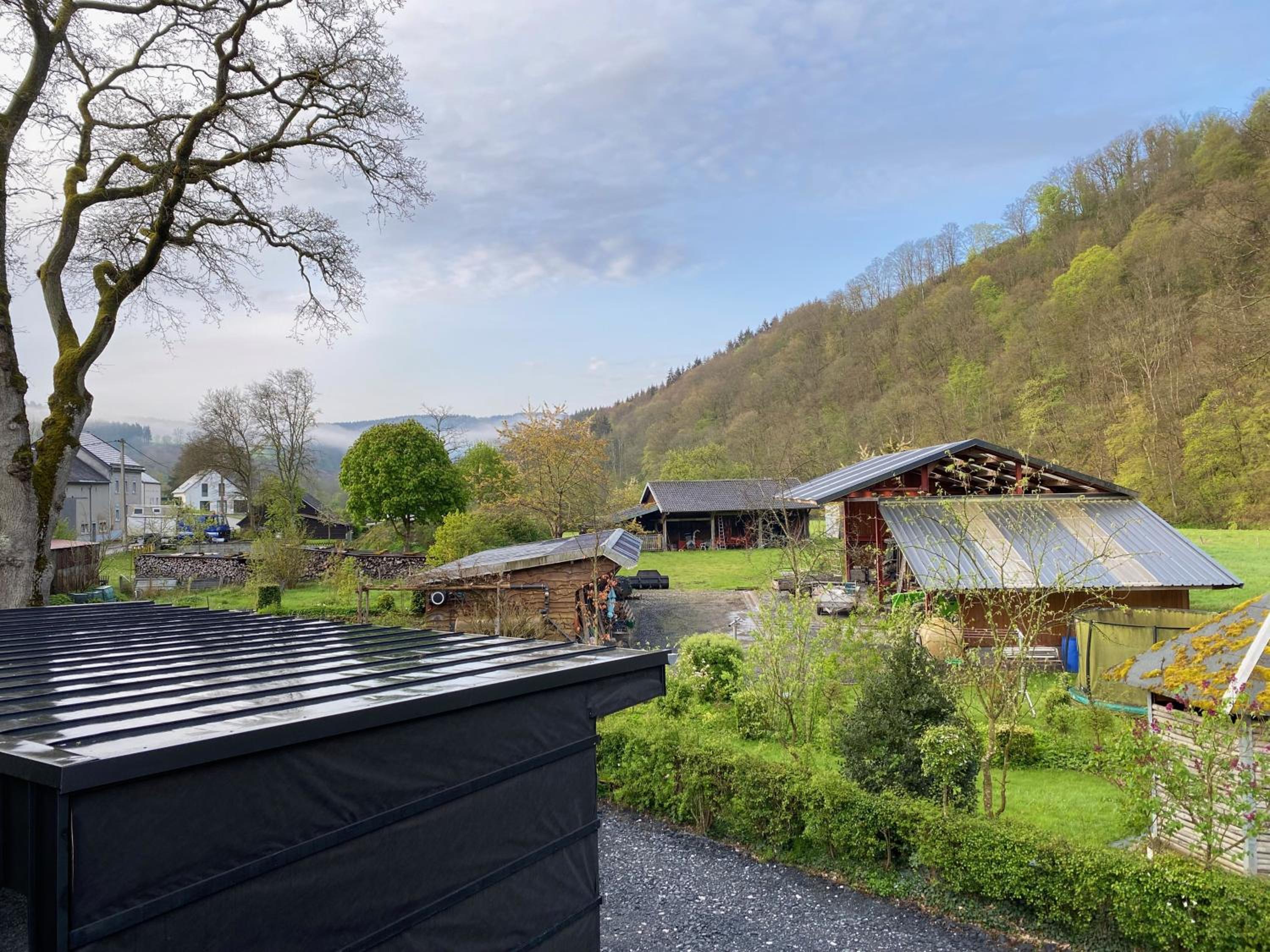 Waldblick - 4-star holiday home in Ouren