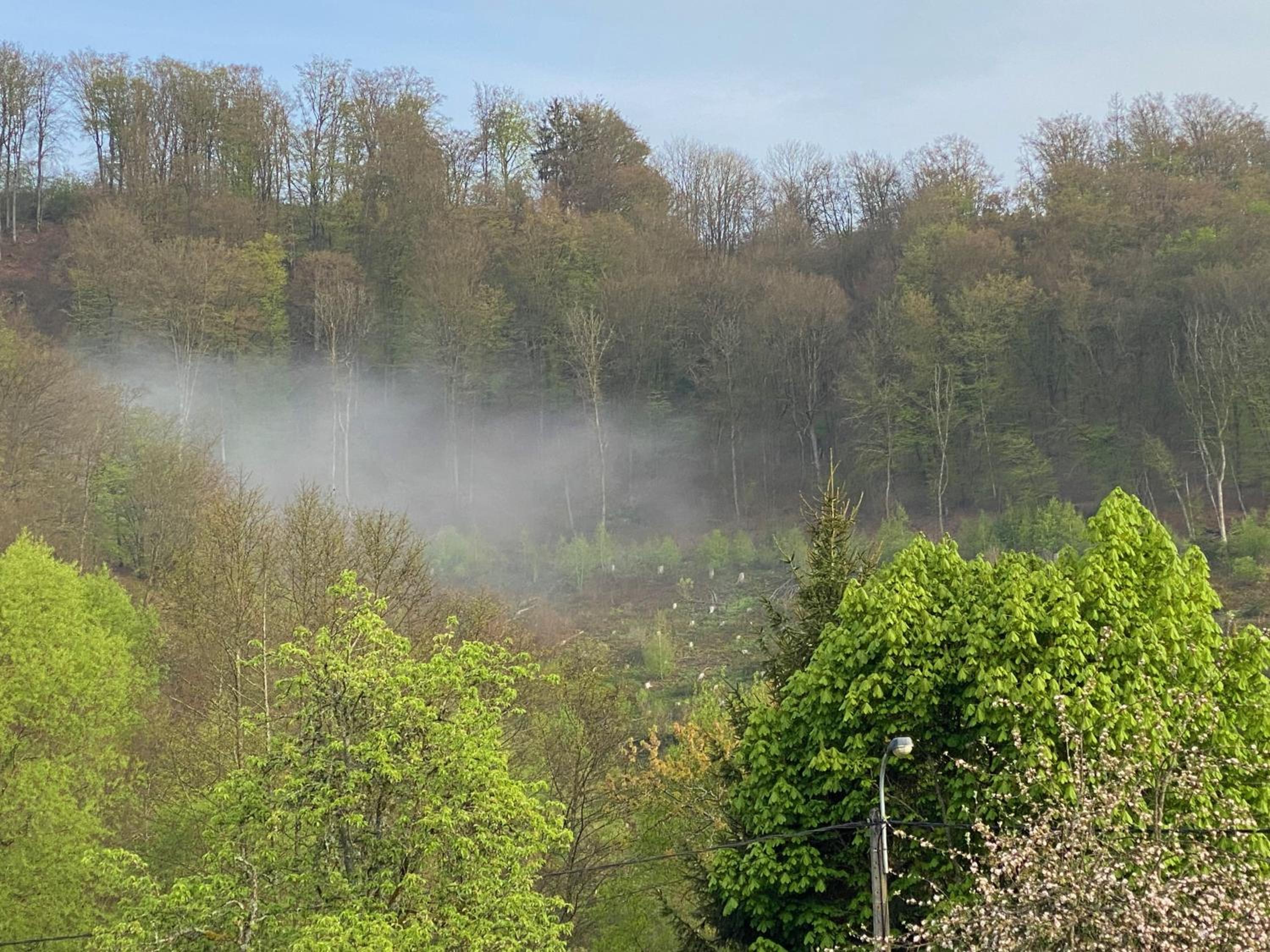 Waldblick - 4-star holiday home in Ouren