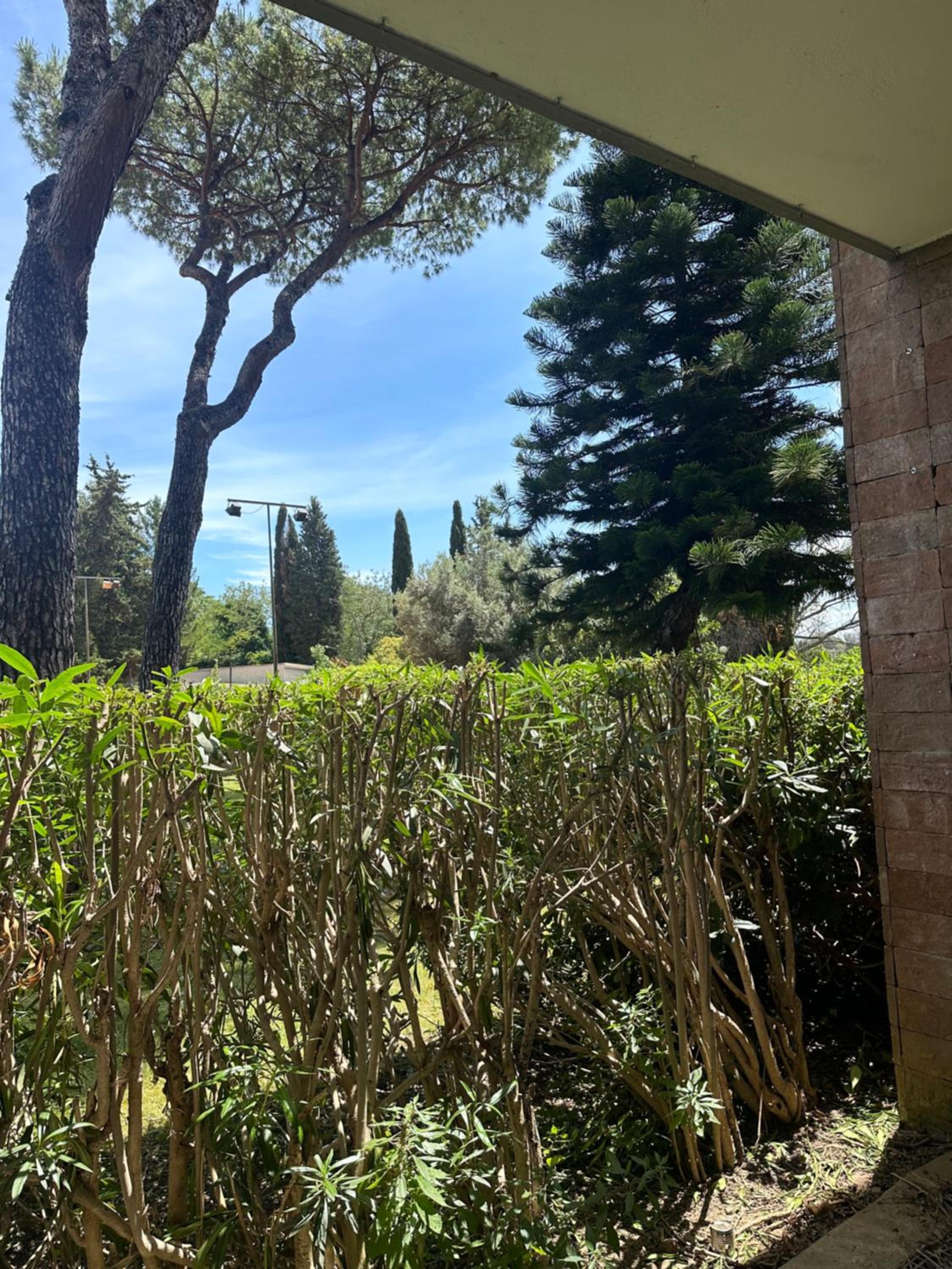 nel cuore di Roma monolocale con piscina