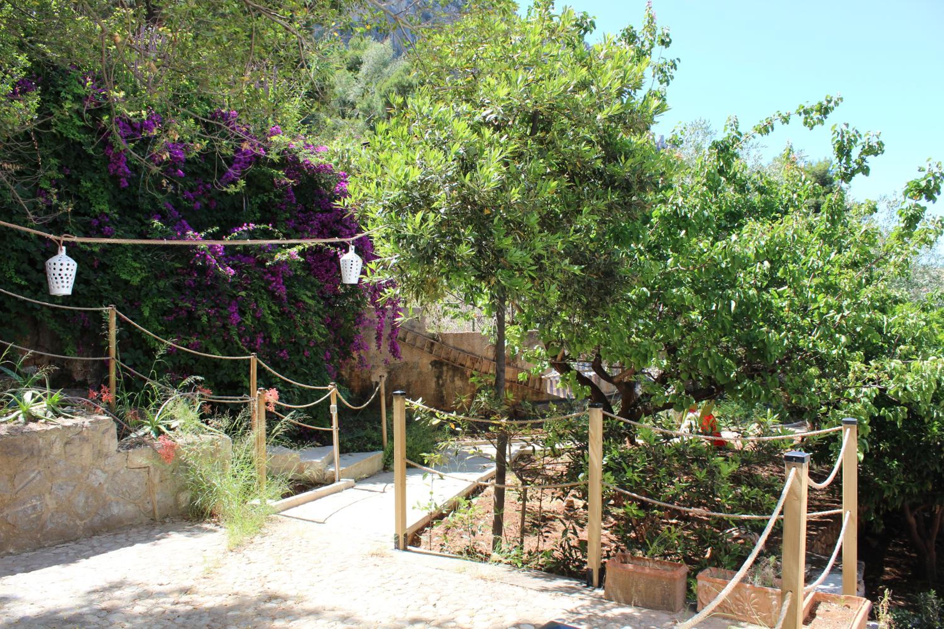 Photo 37