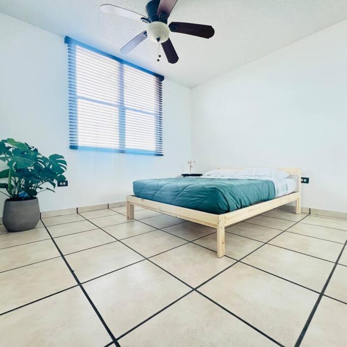 Apartmento en Rio Grande con Piscina view 3