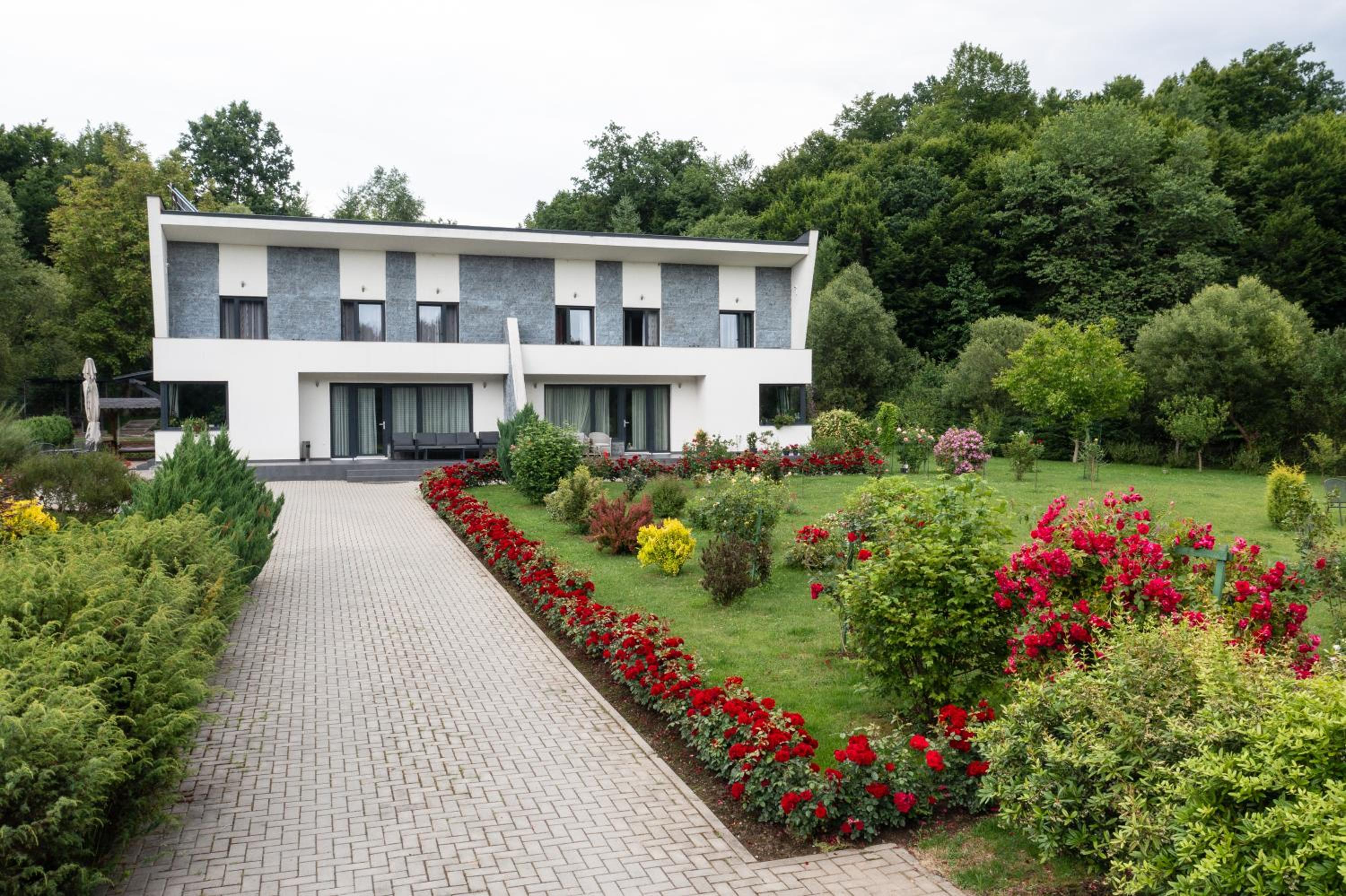 Casa Nagy view 3