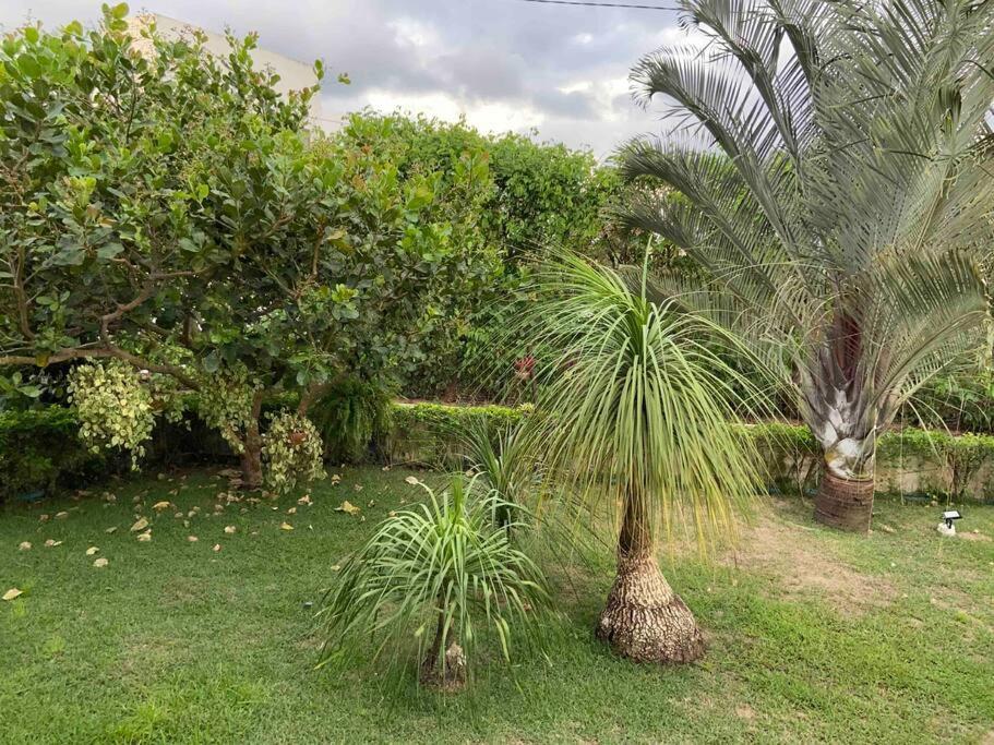 Paraíso de Gravatá
