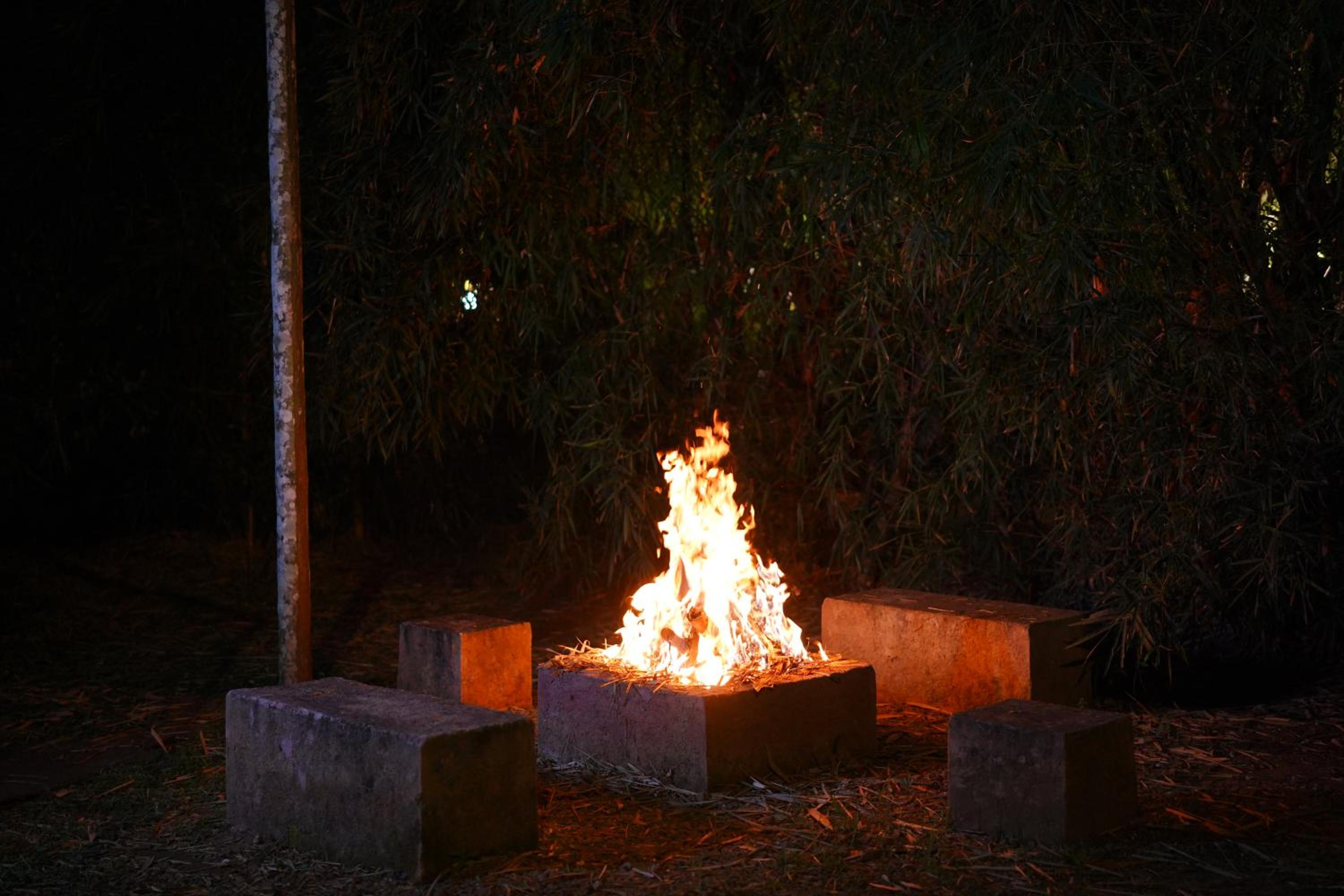 Photo 25