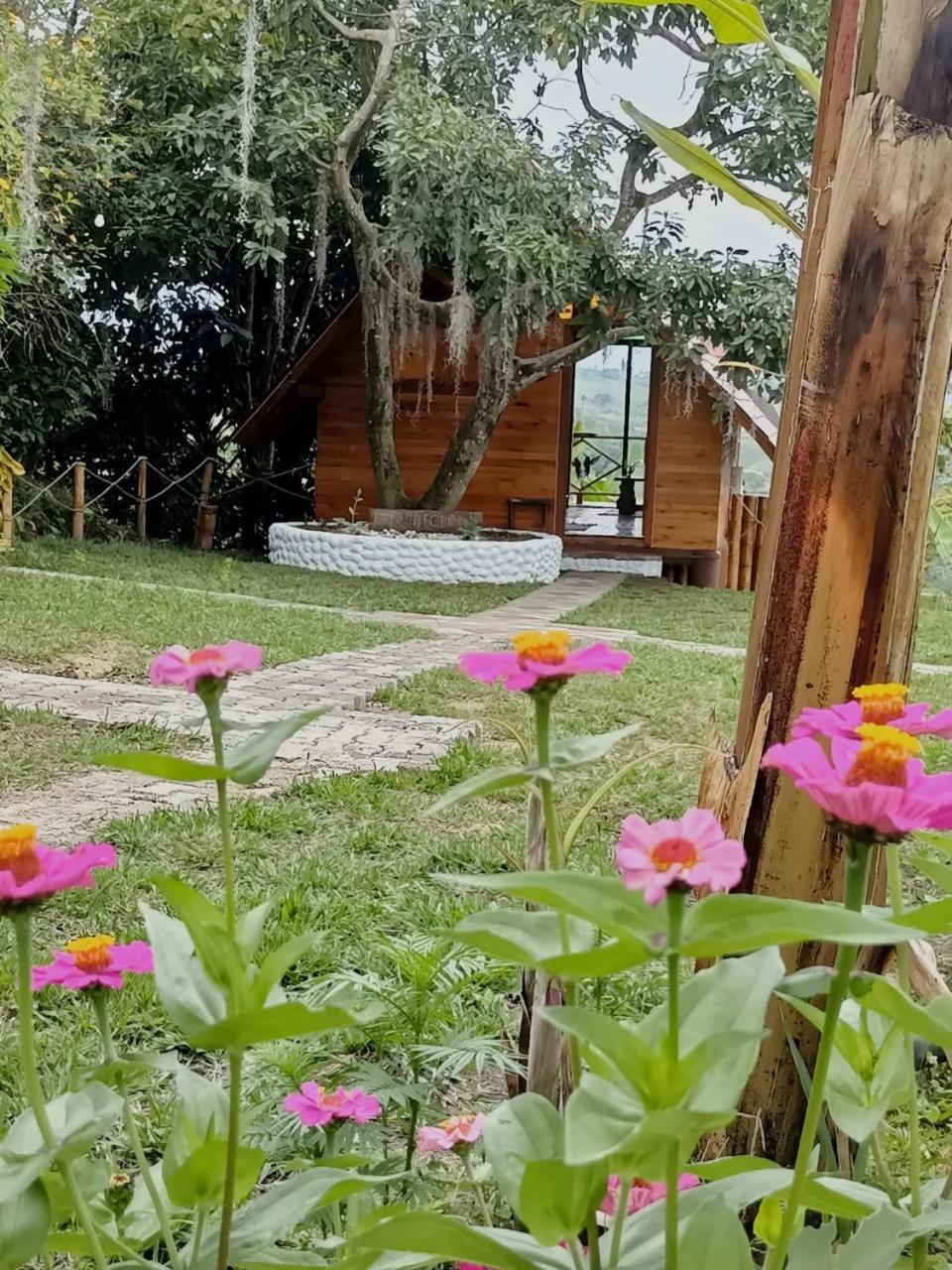Cabañas la Miranda