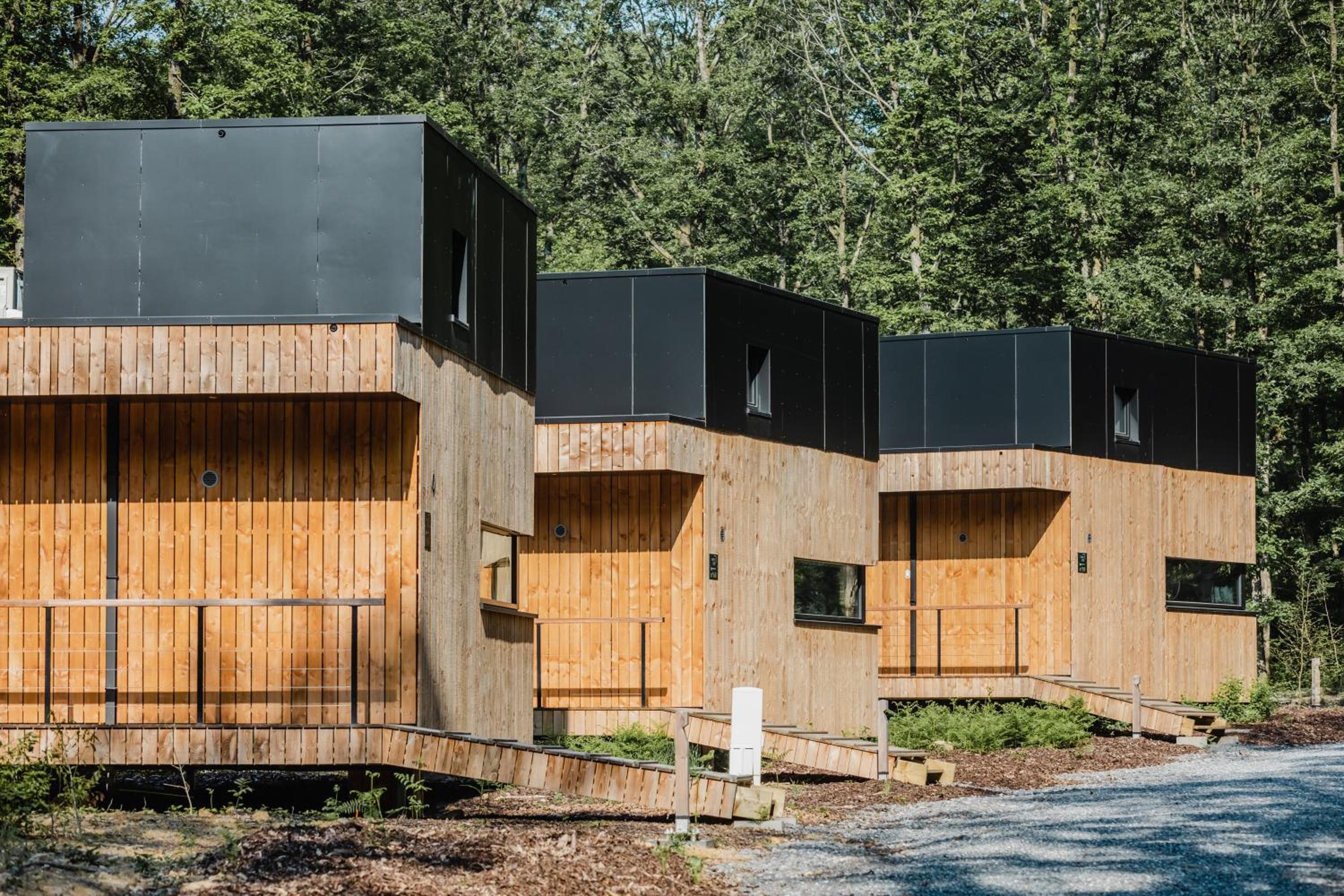 Forest Cube