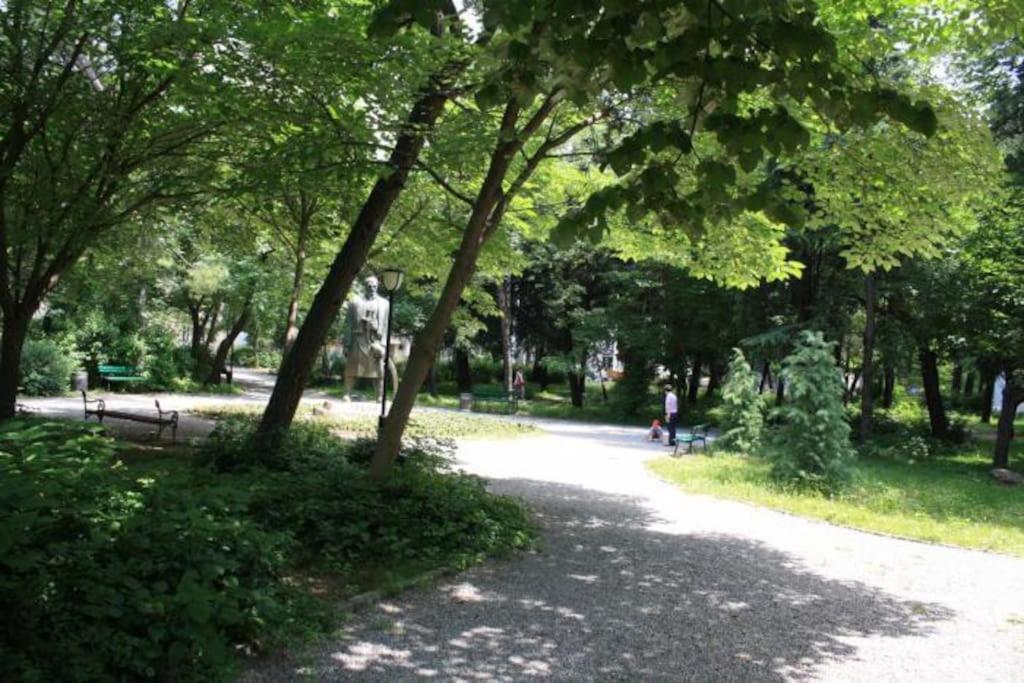 Photo 6