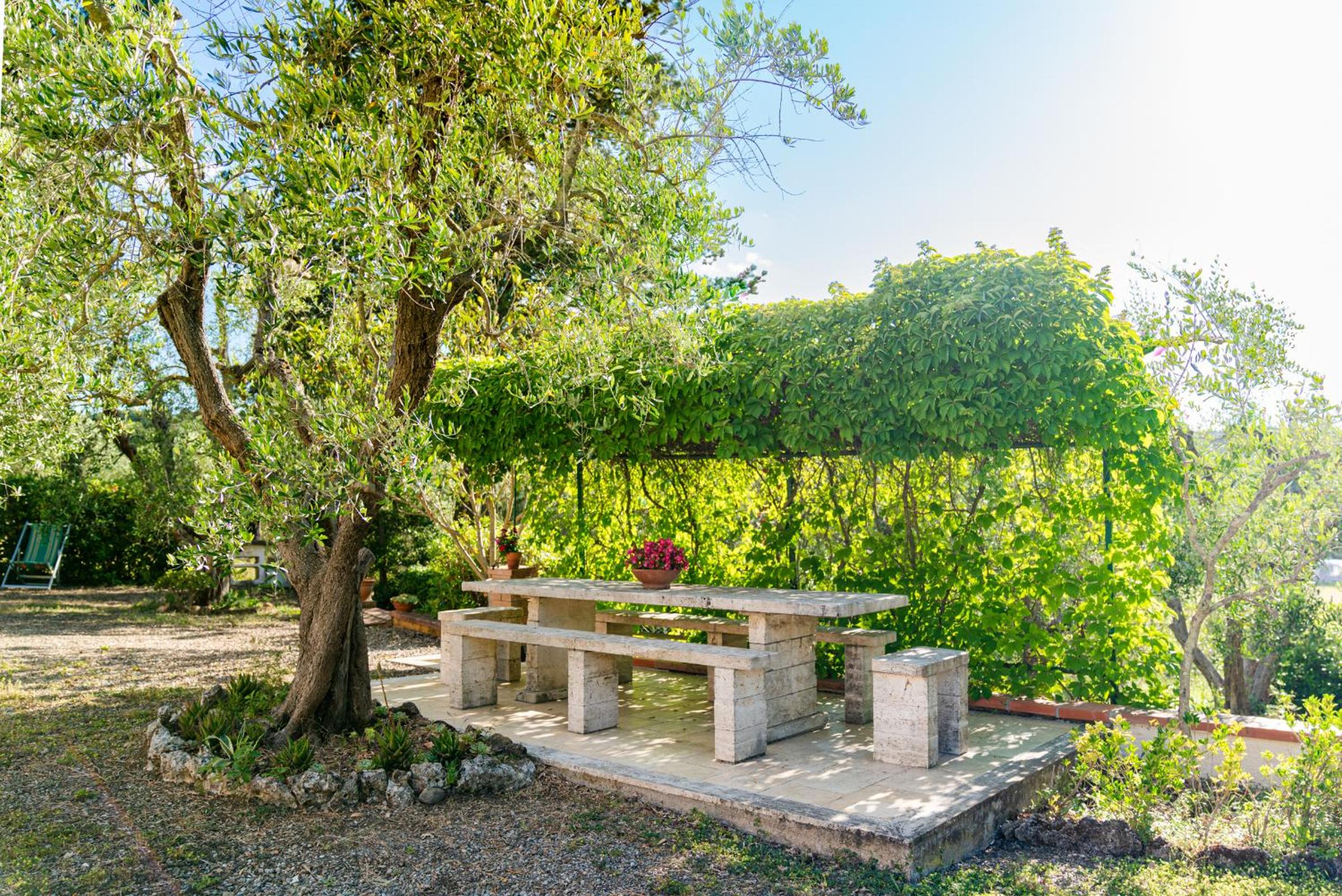 Villa con piscina e jacuzzi vicino Saturnia view 4