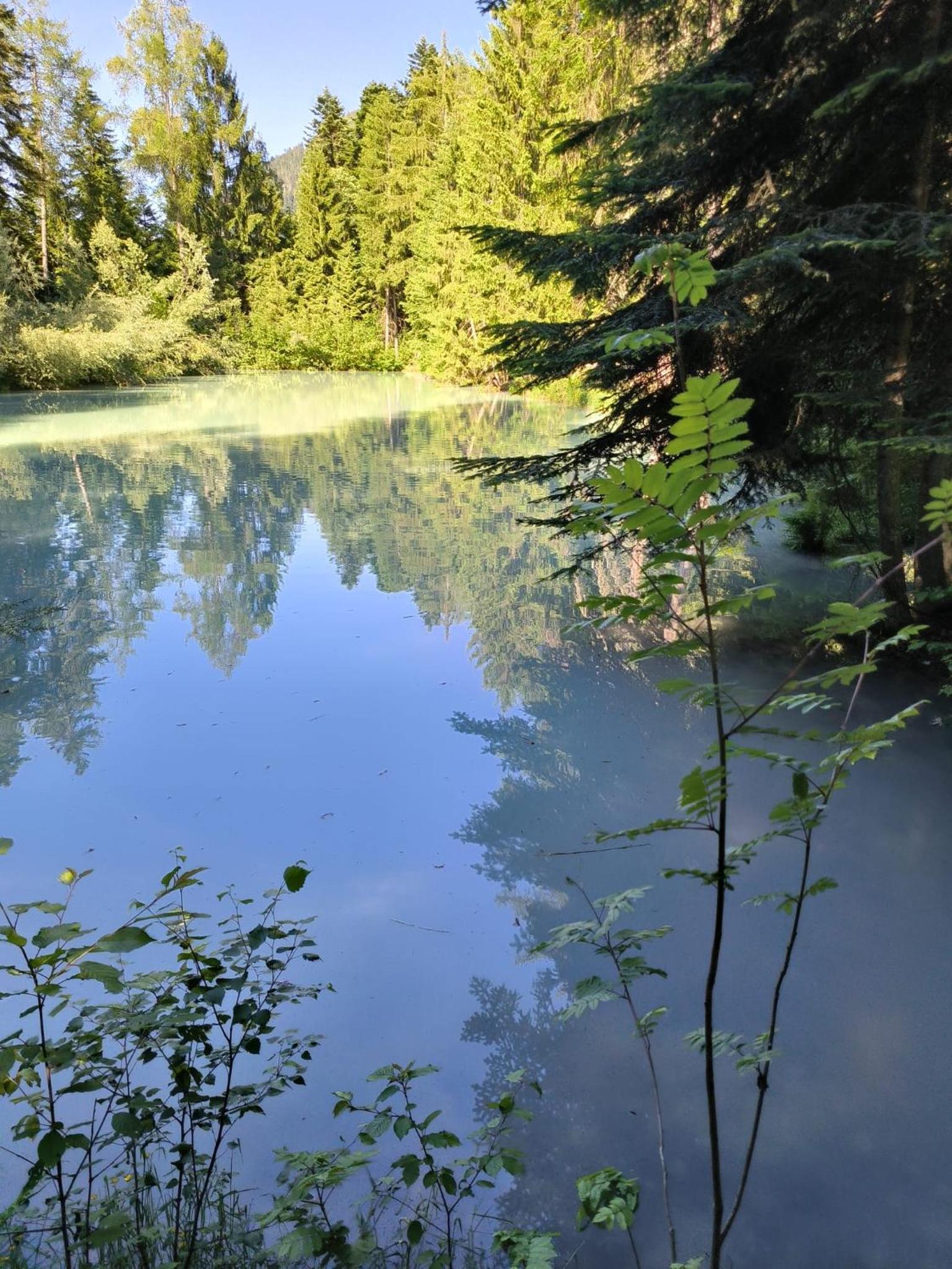 Ô Bercail Gîte de basse montagne 7' de vercorin